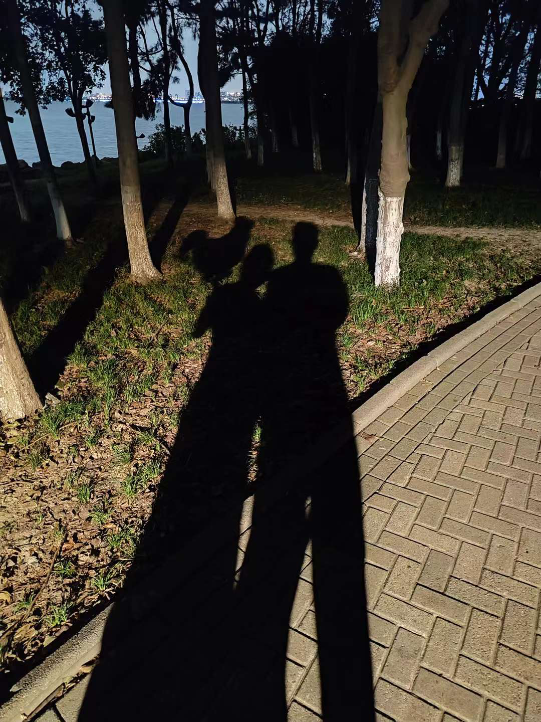 image-20230104234946610