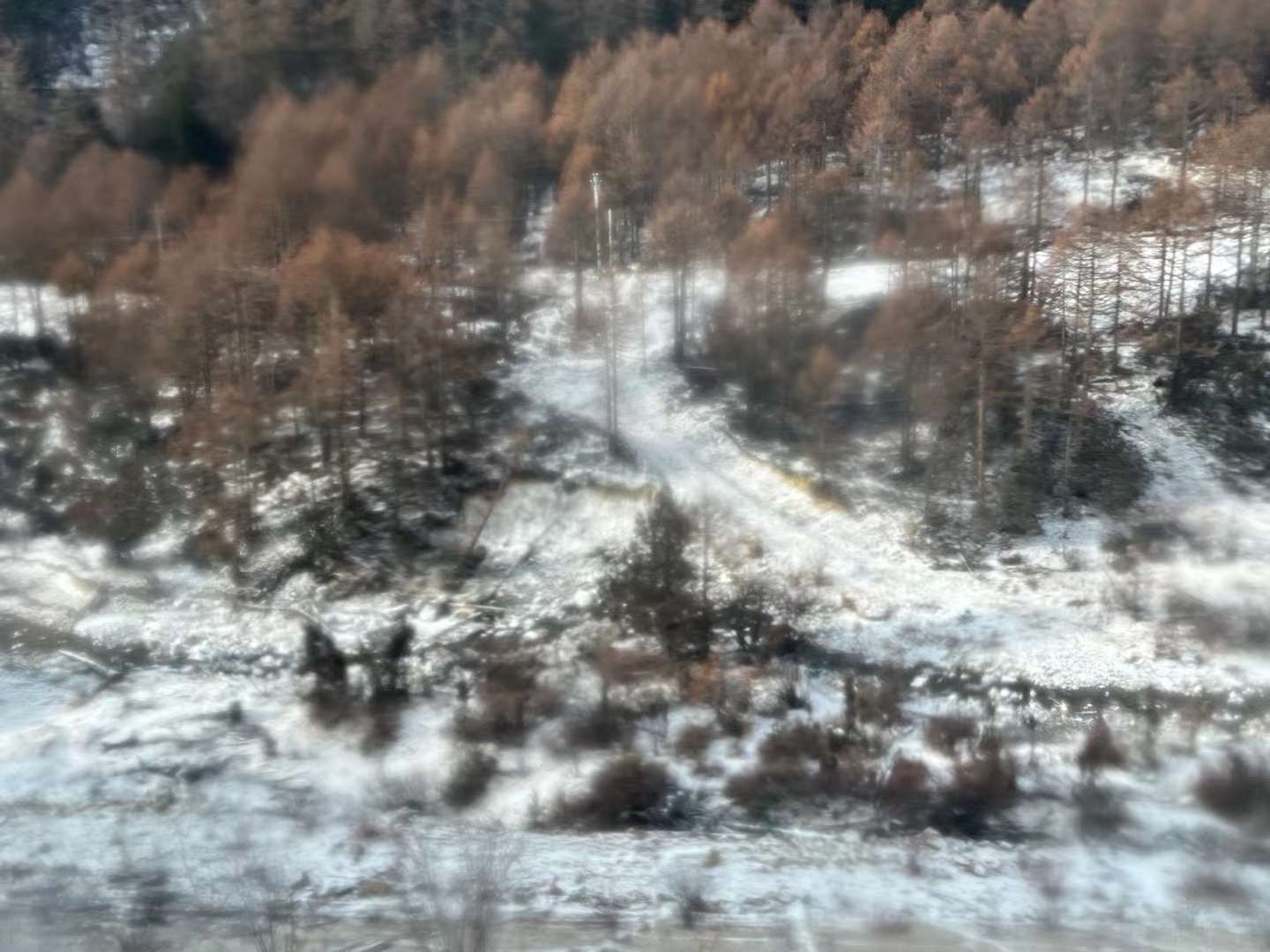 image-20230202215037741