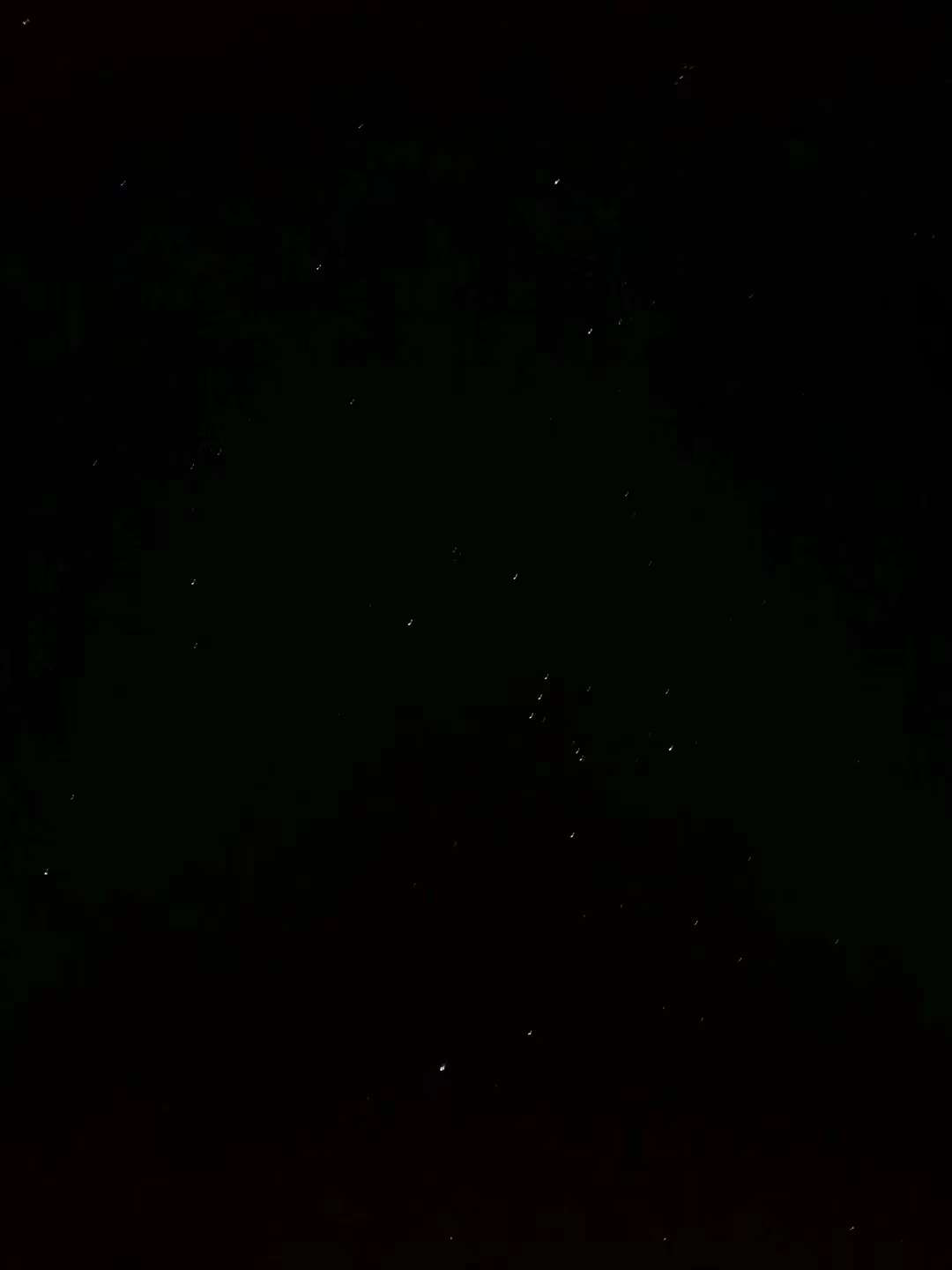 image-20230202215138347