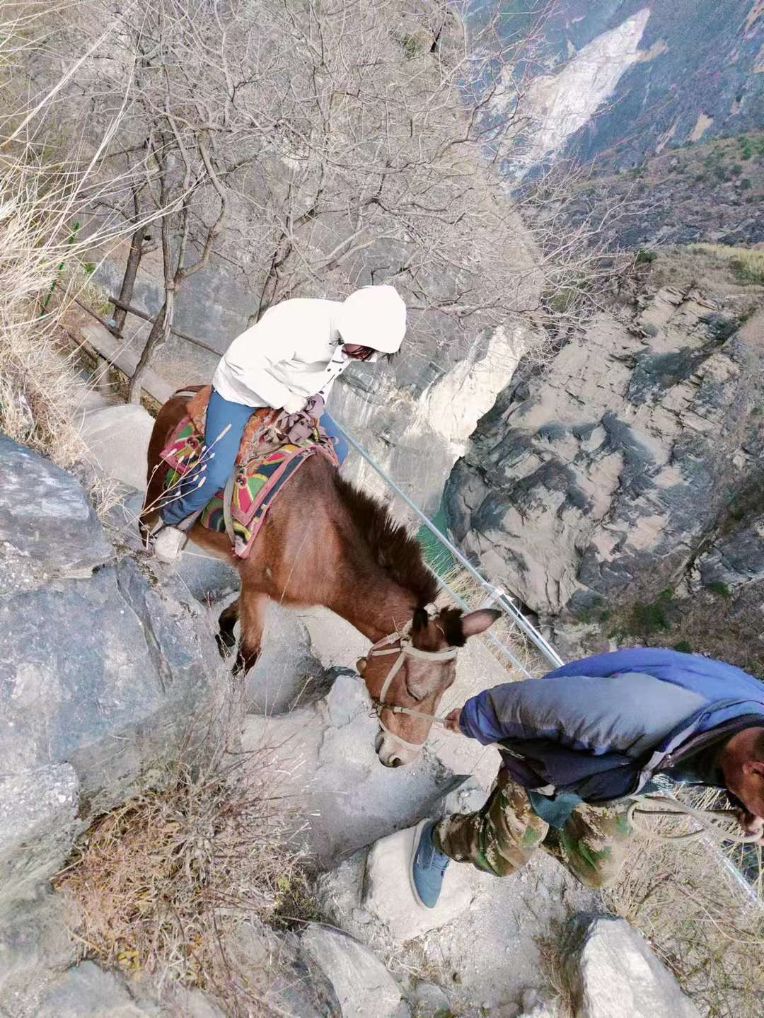 image-20230202220904953