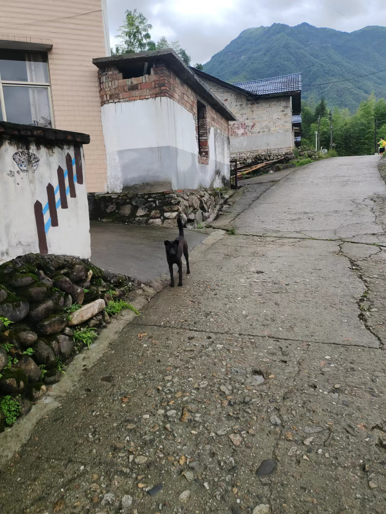 image-20230625222936444