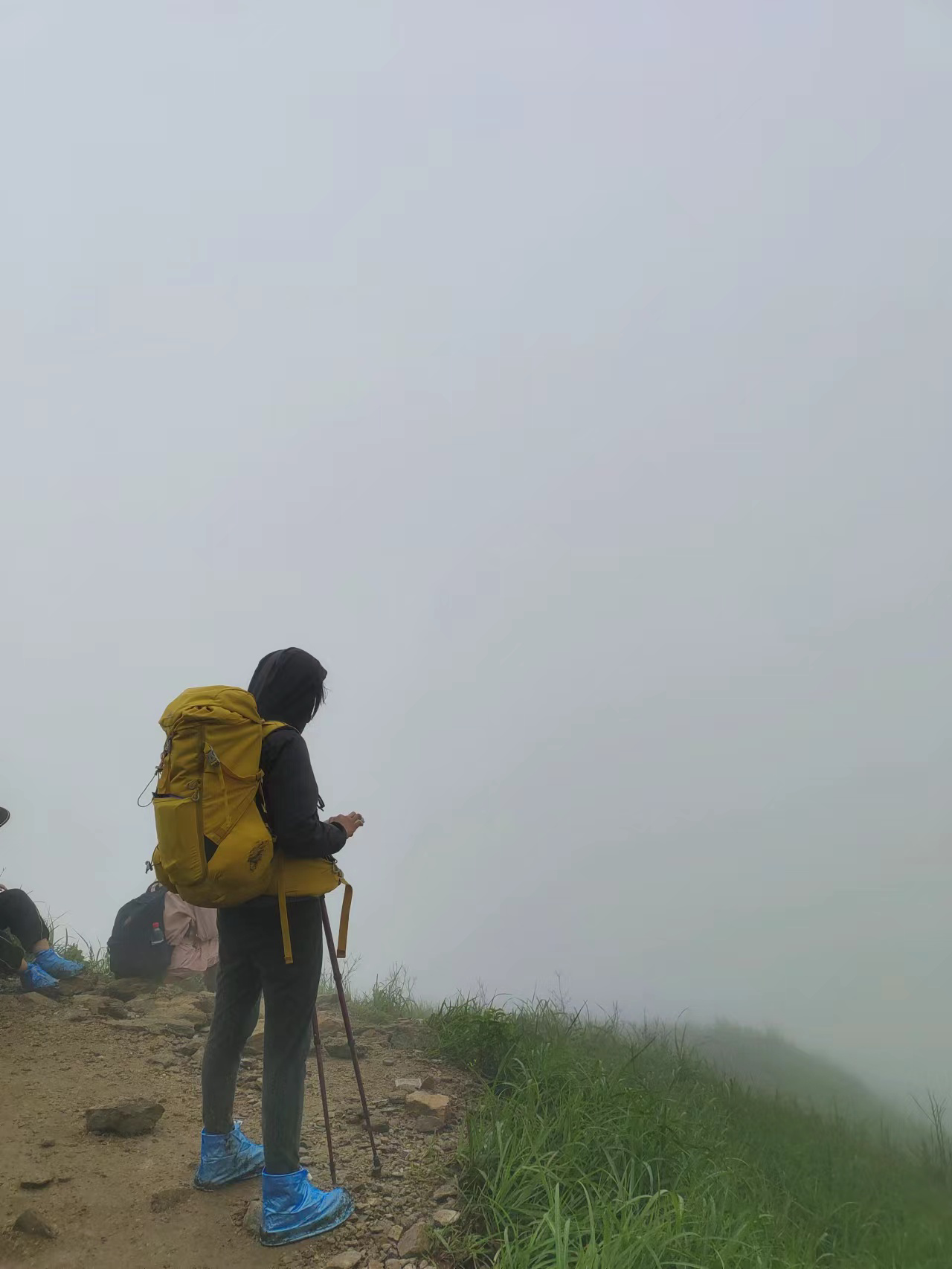 image-20230628192939108
