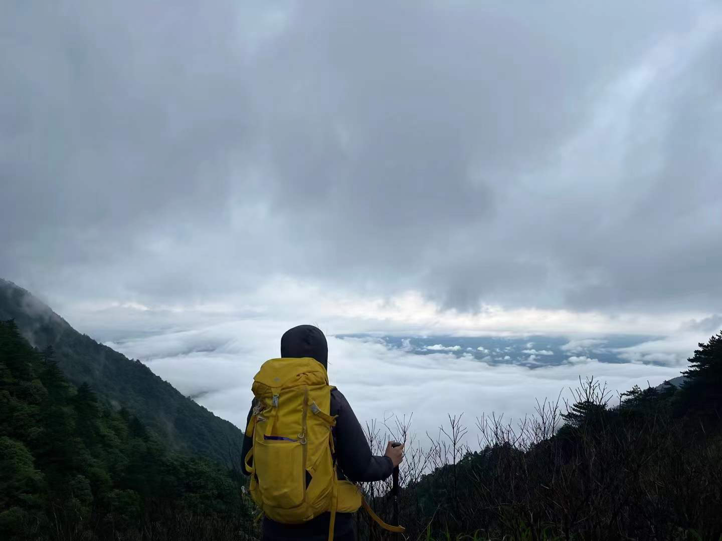 image-20230628195634851