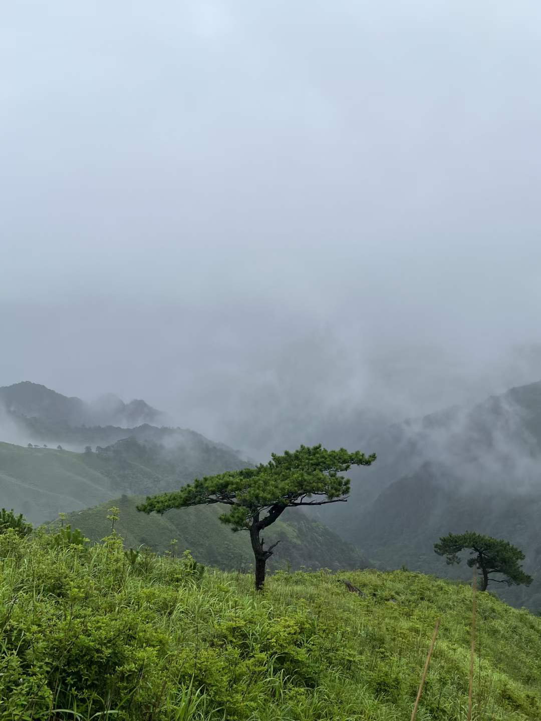 image-20230628195712237