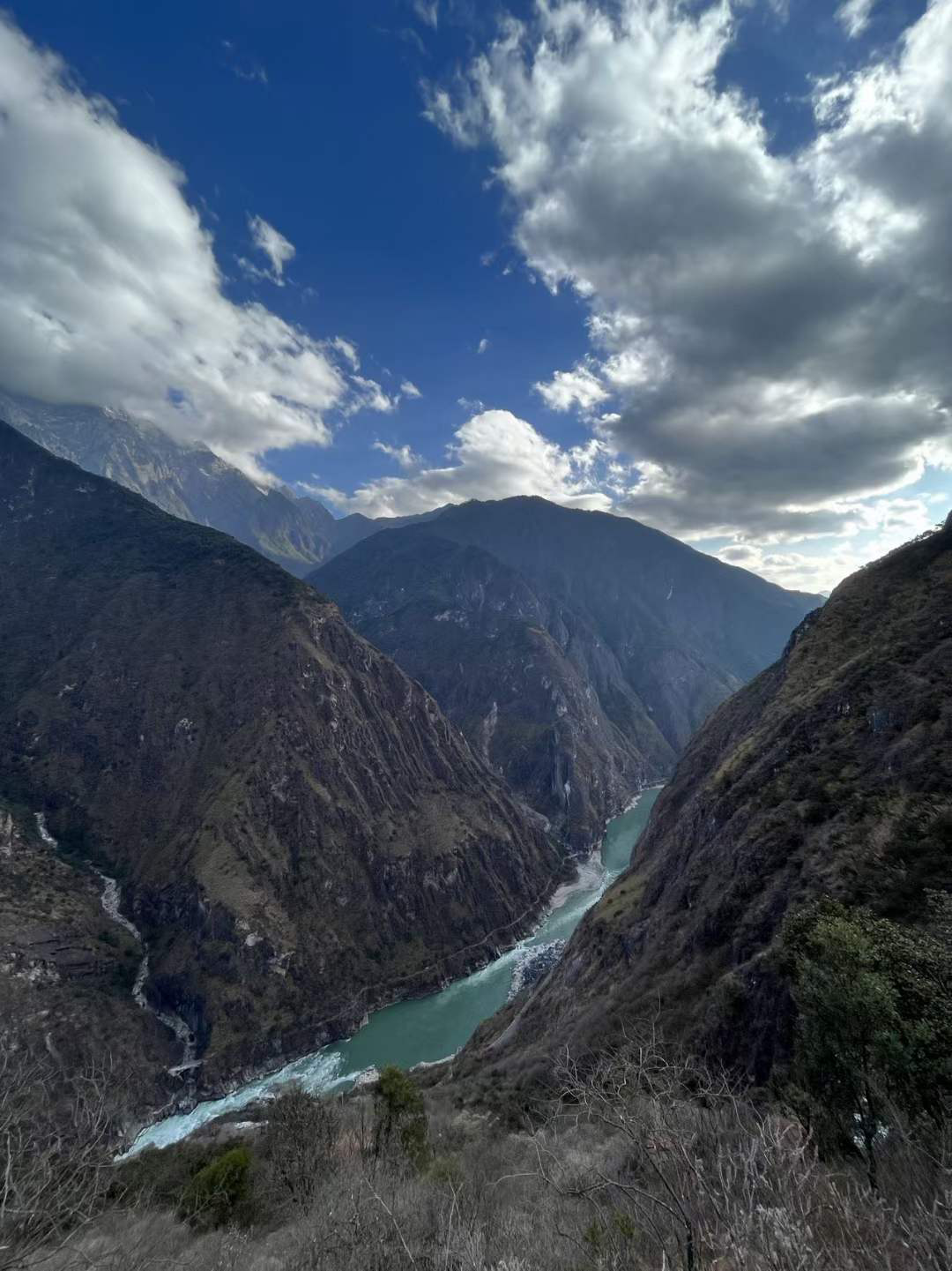 image-20230703220501167