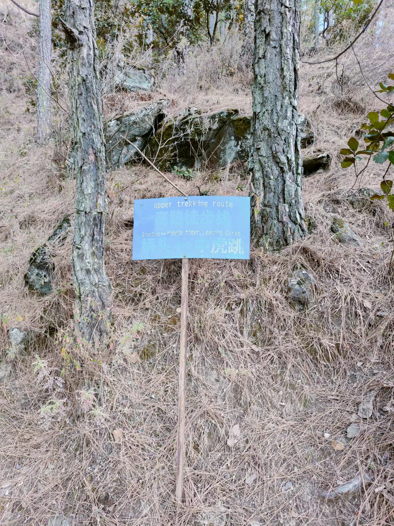 image-20230703221704744