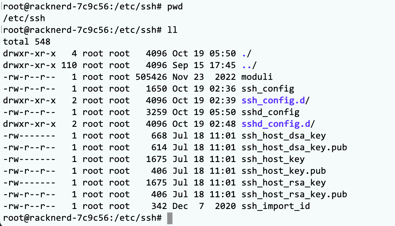 image-20231019153828910