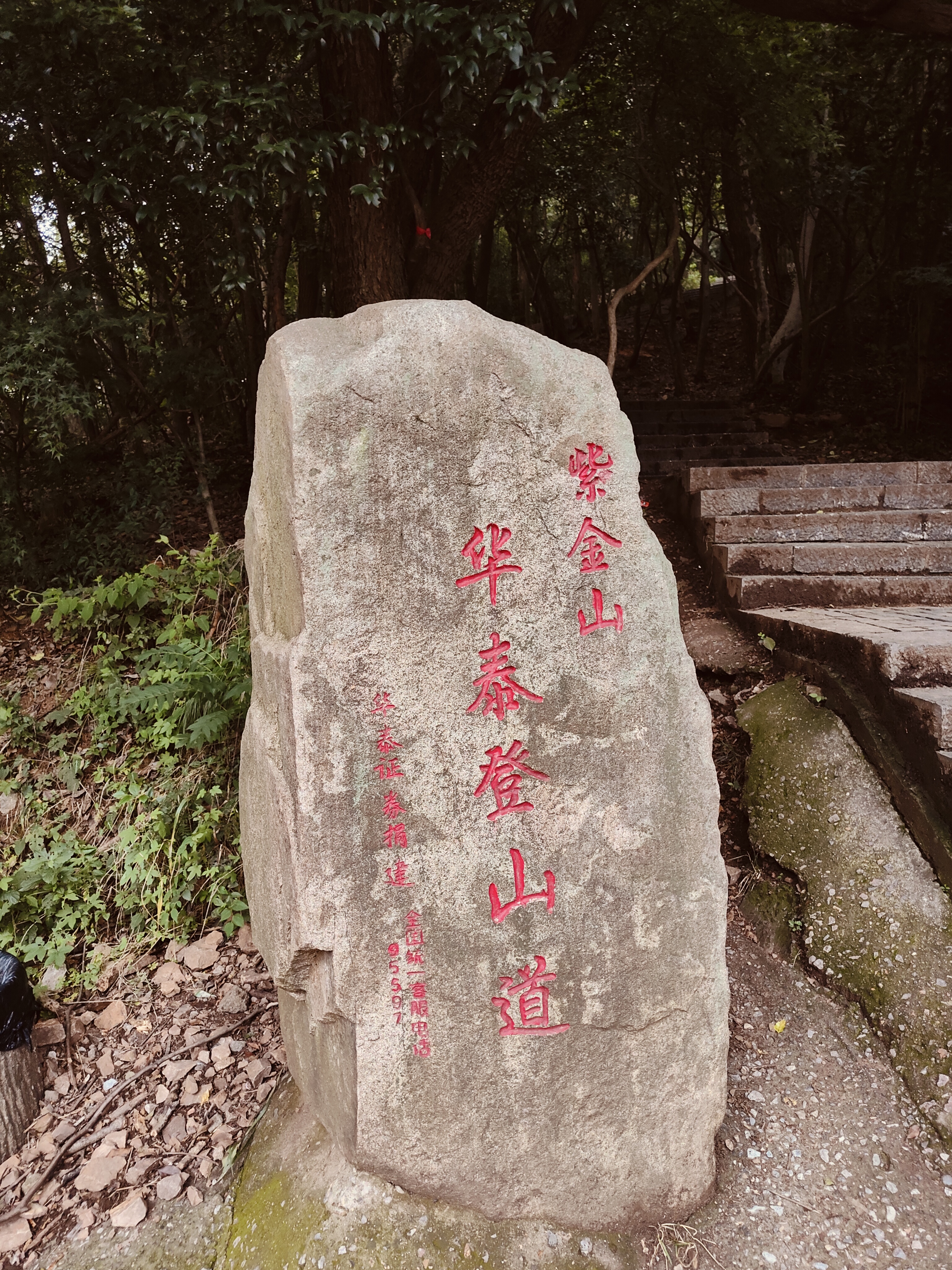 IMG20230701183650