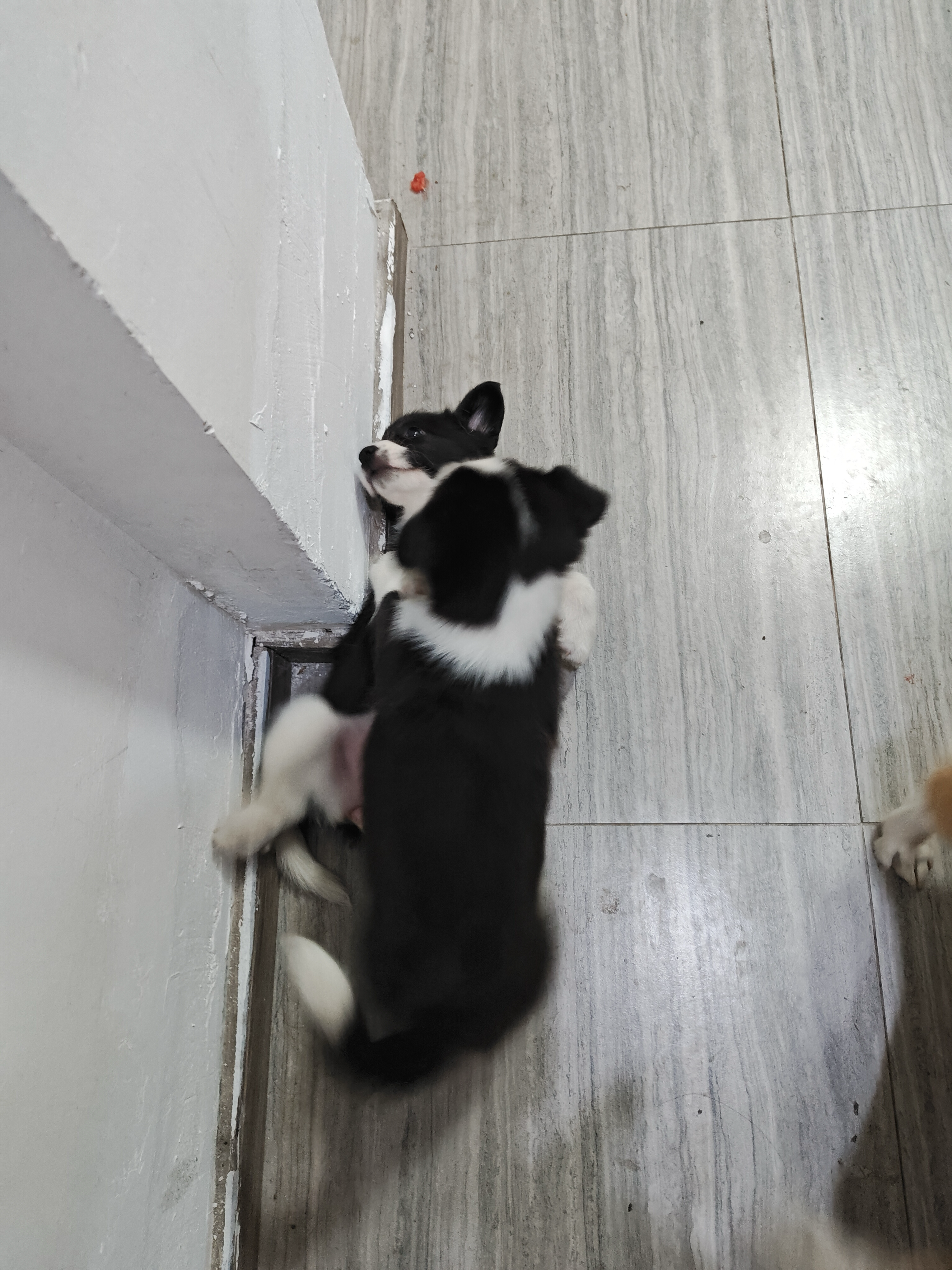 image-20240122232613043