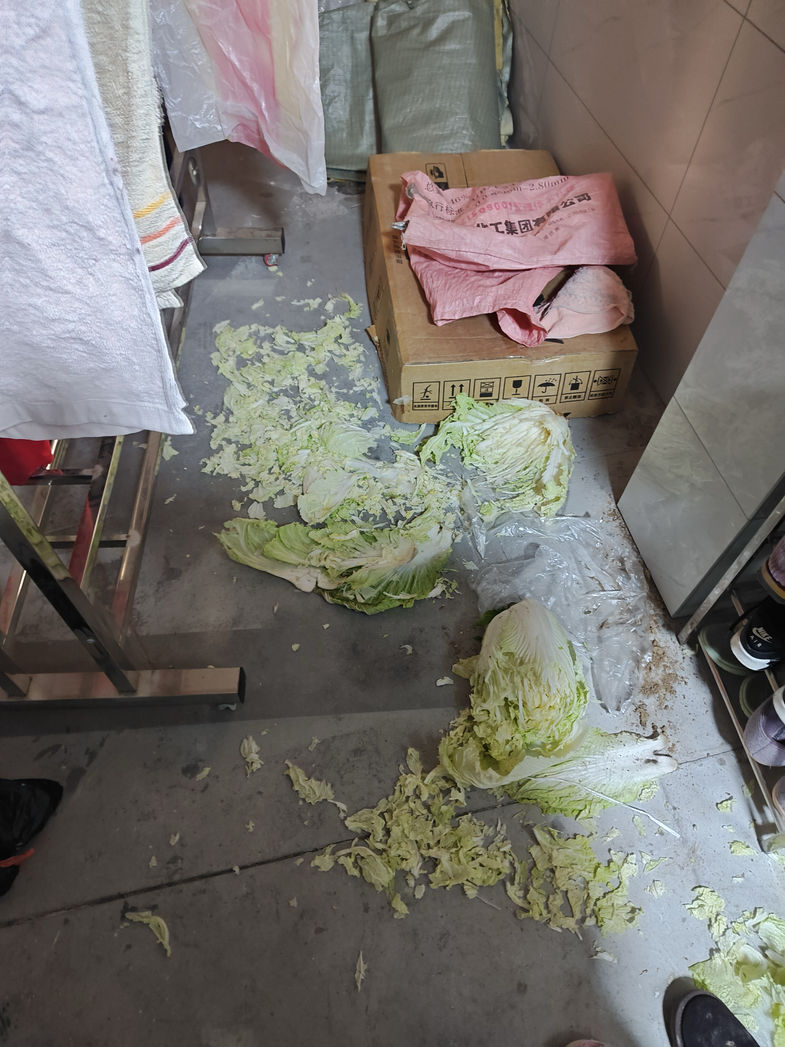 image-20240514212440729
