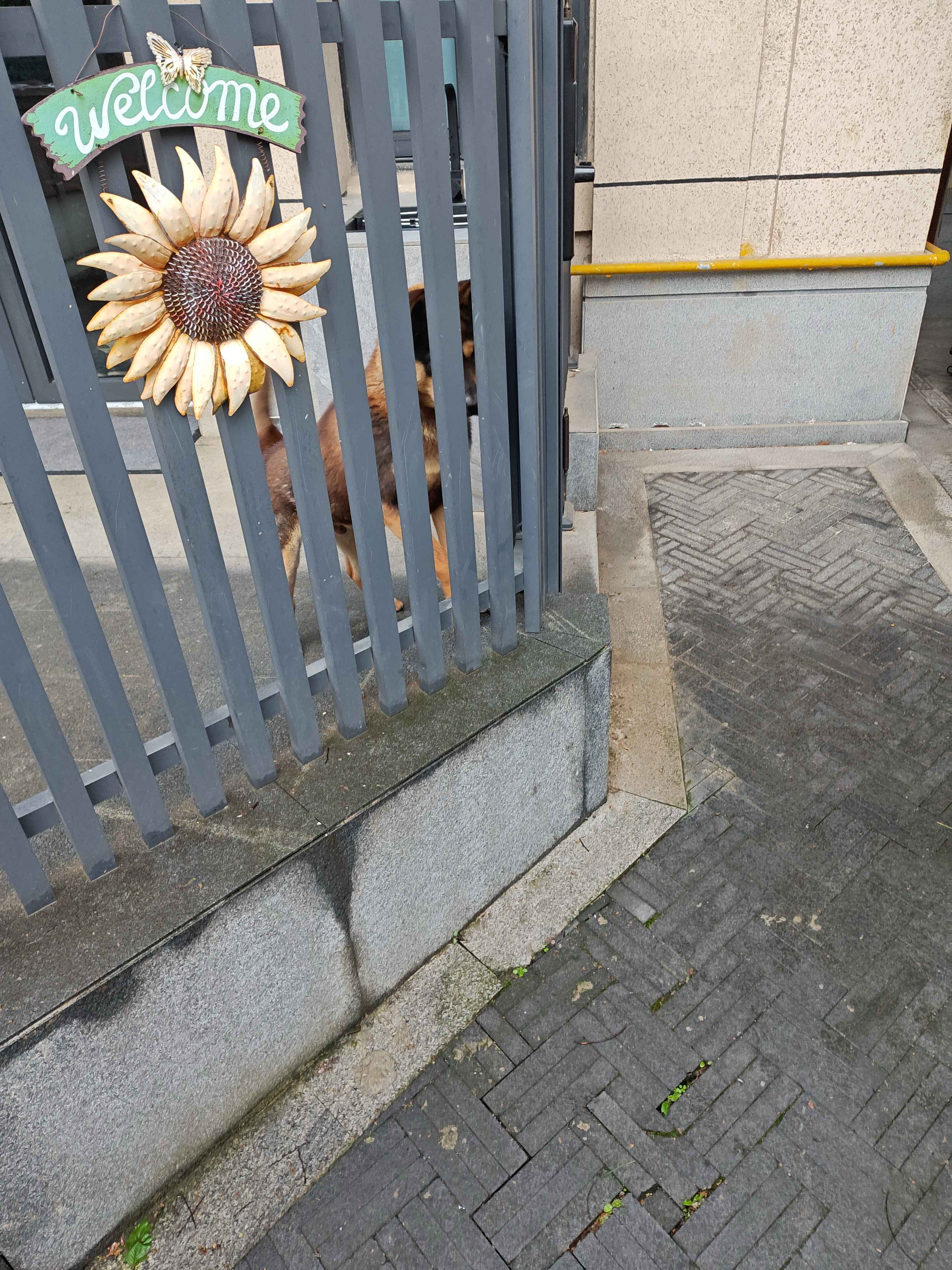 image-20240619083237249