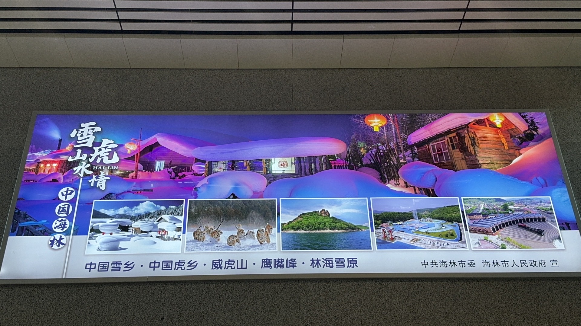F352F01E-E027-4399-987D-4A13024F8480