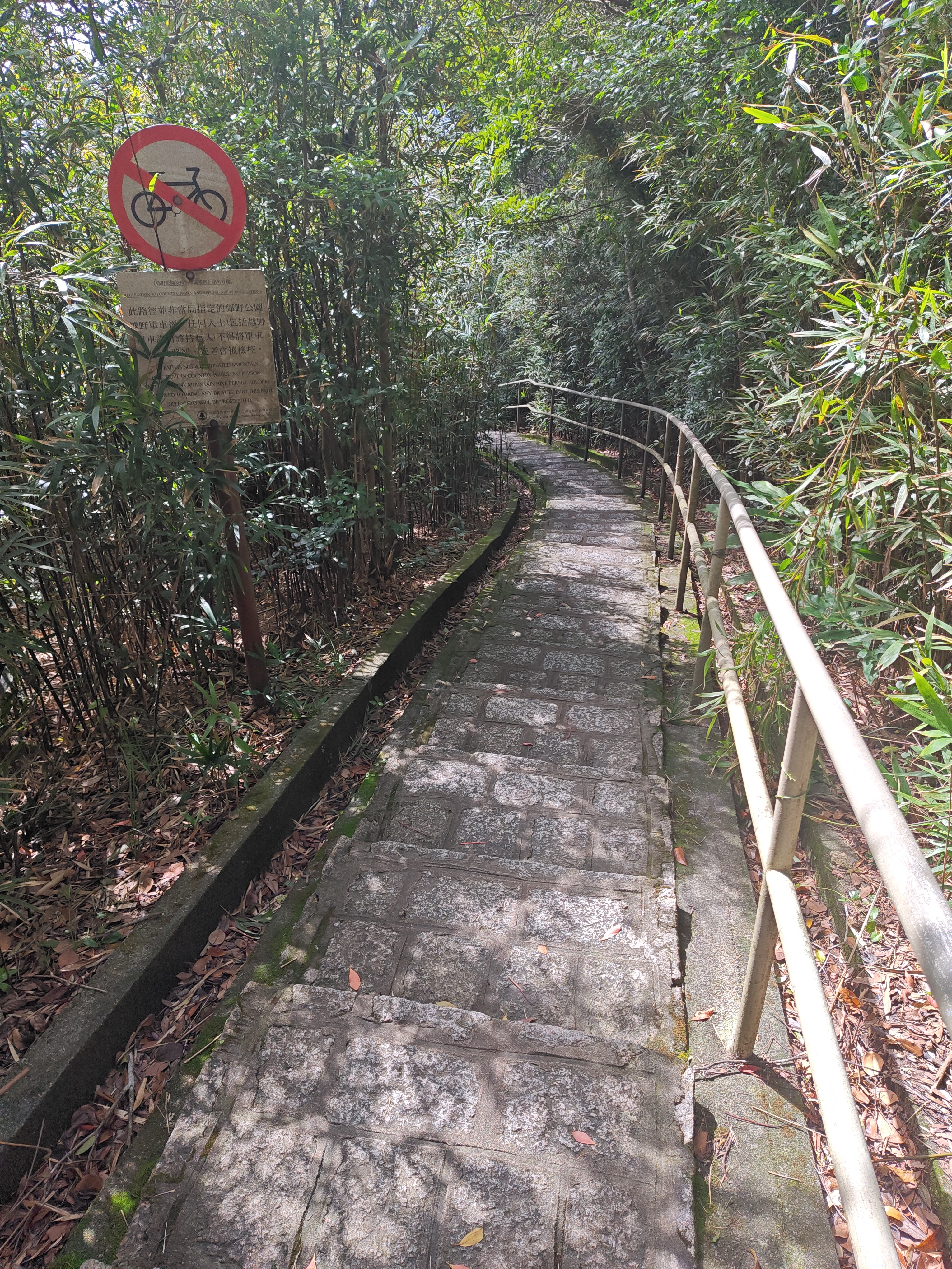 P20250621-153130