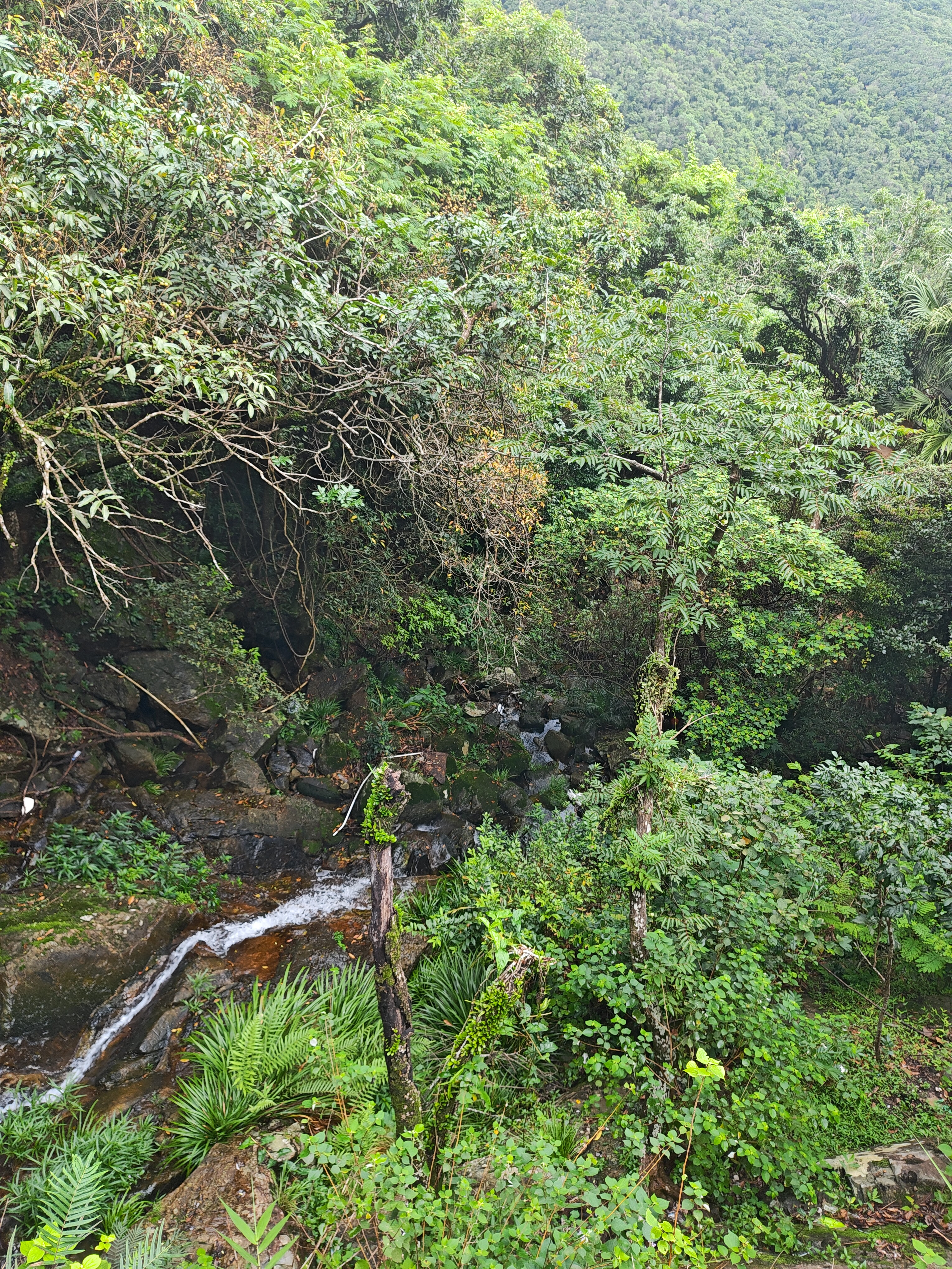P20250621-151540