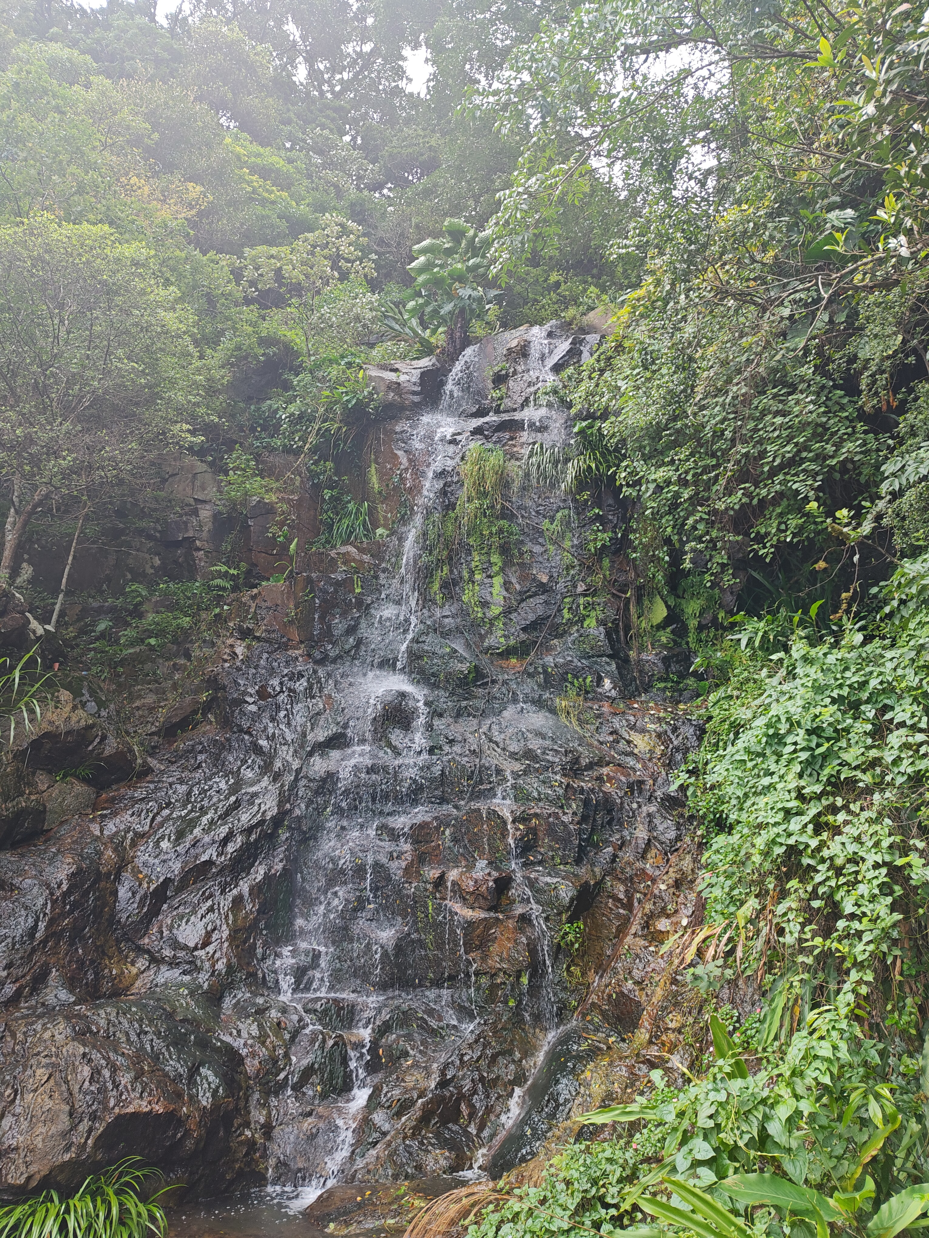 P20250621-151524