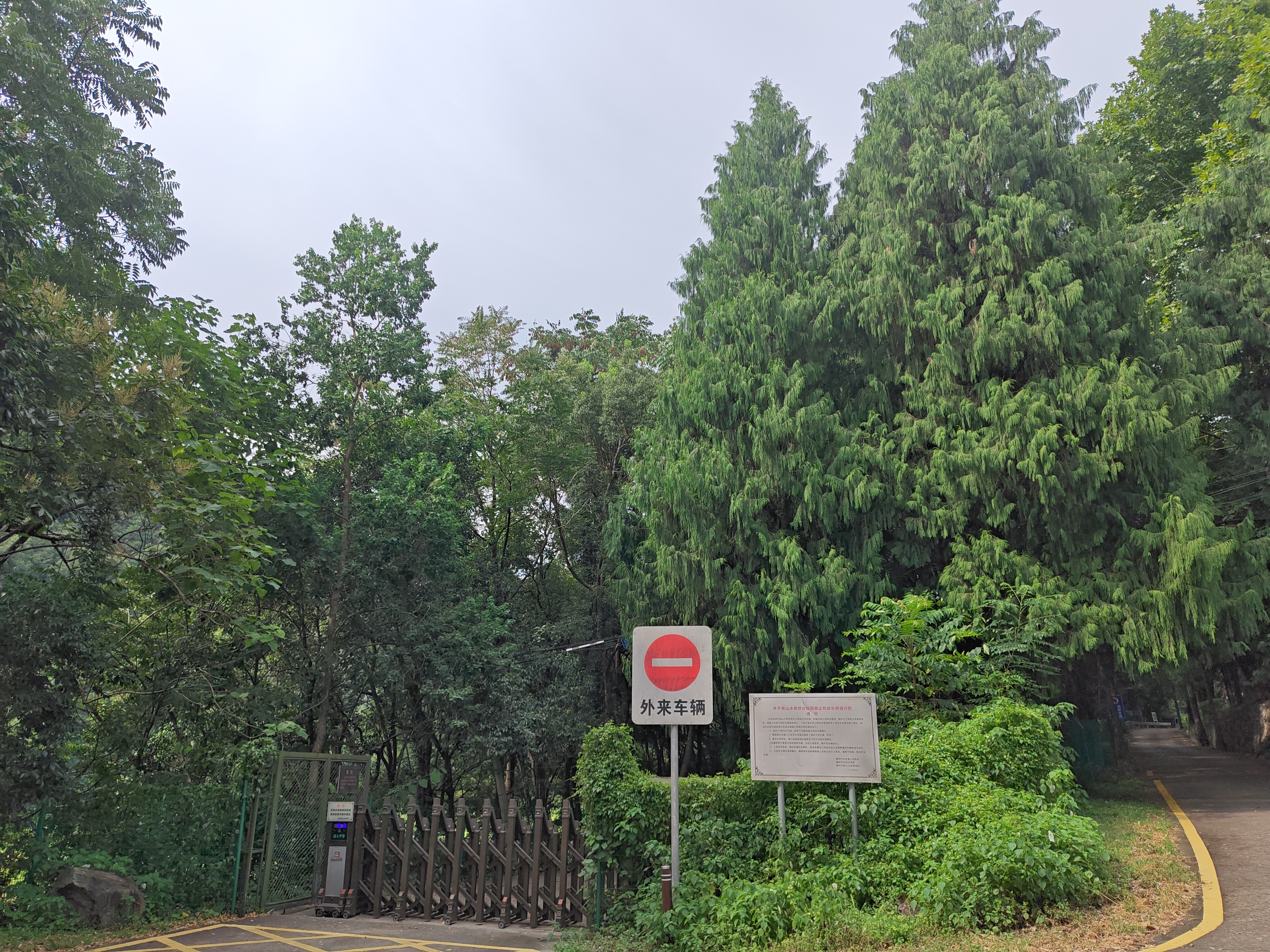 P20250810-150536
