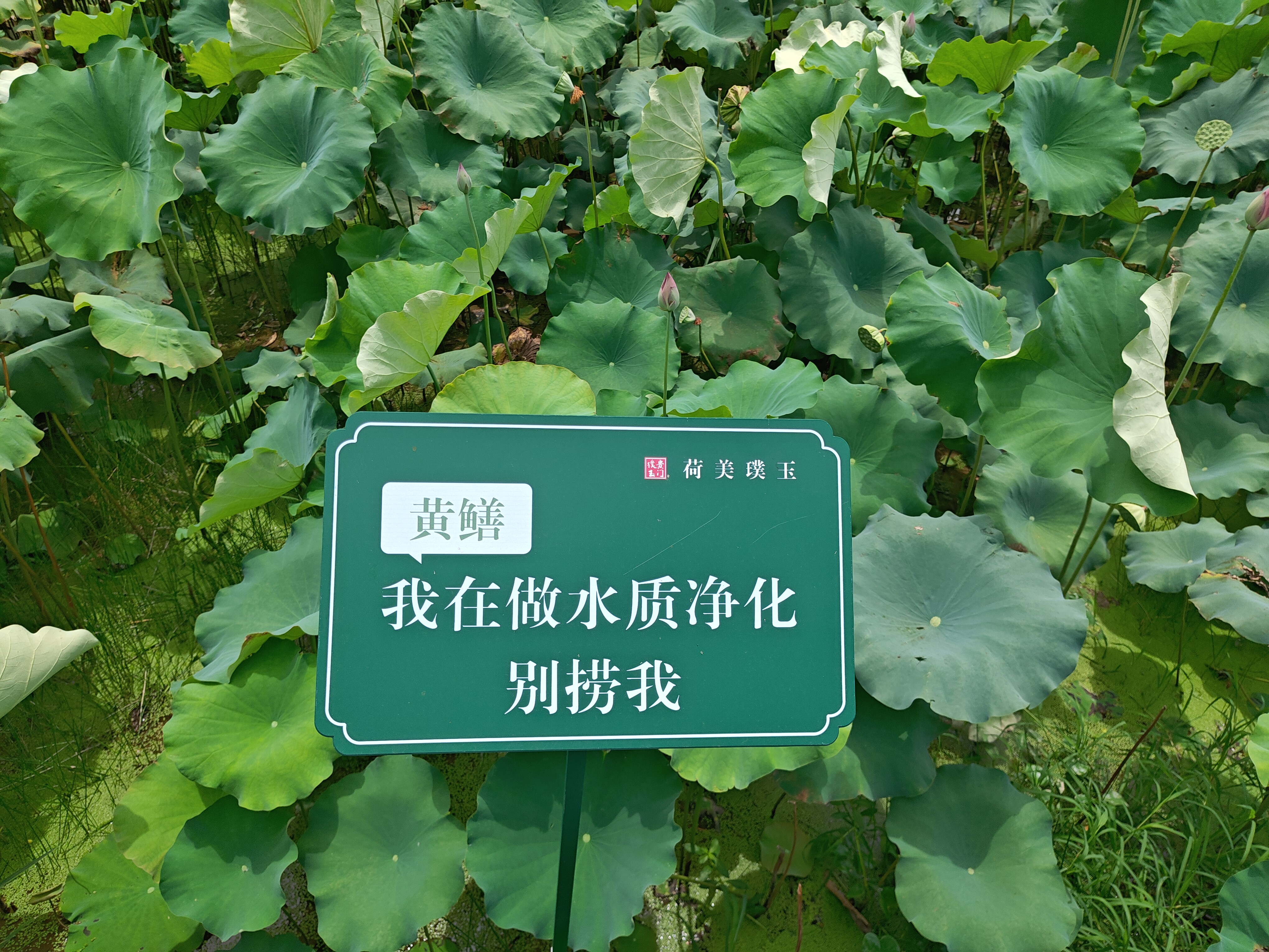 P20250810-121840