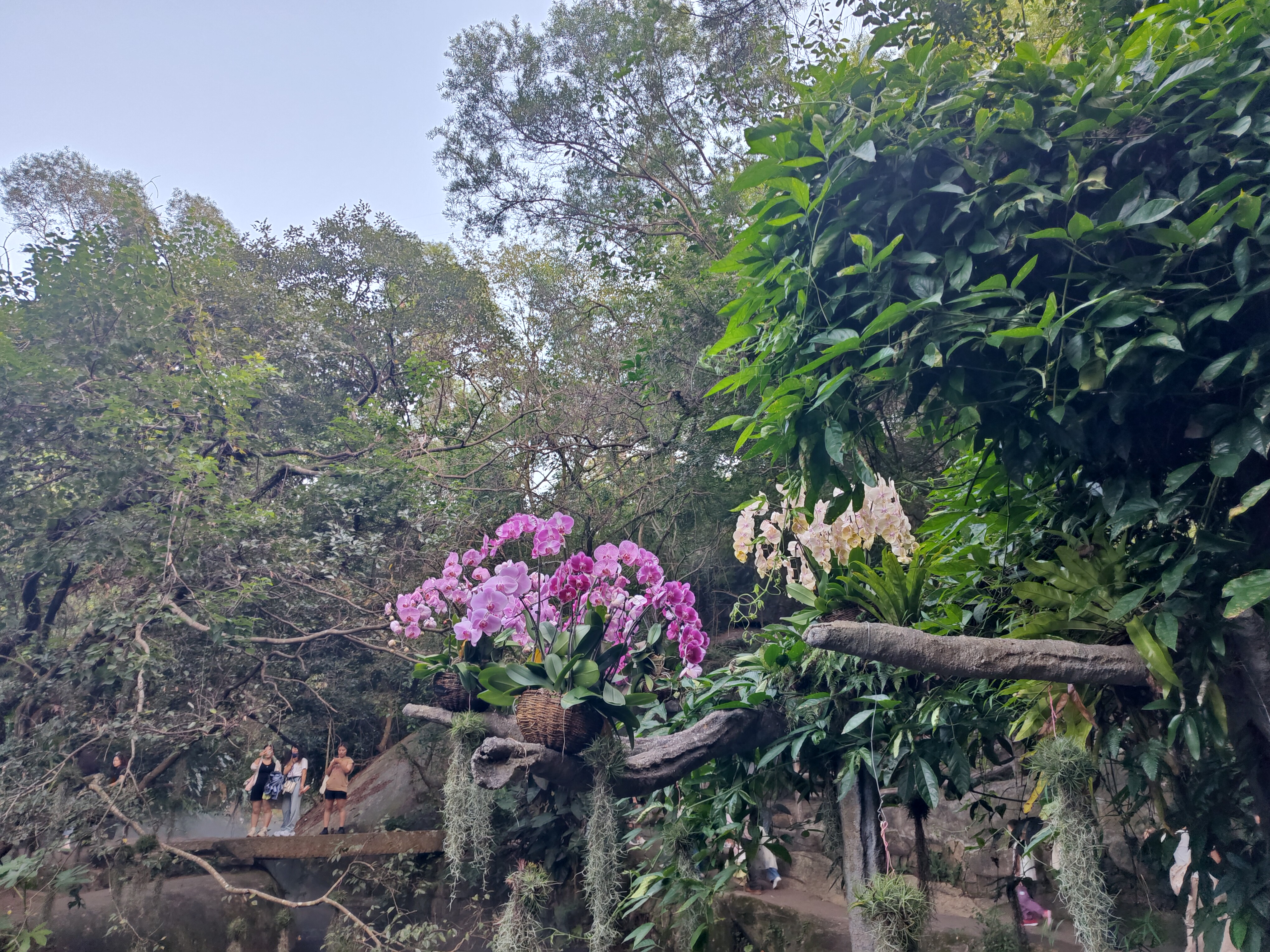 P20251002-170509
