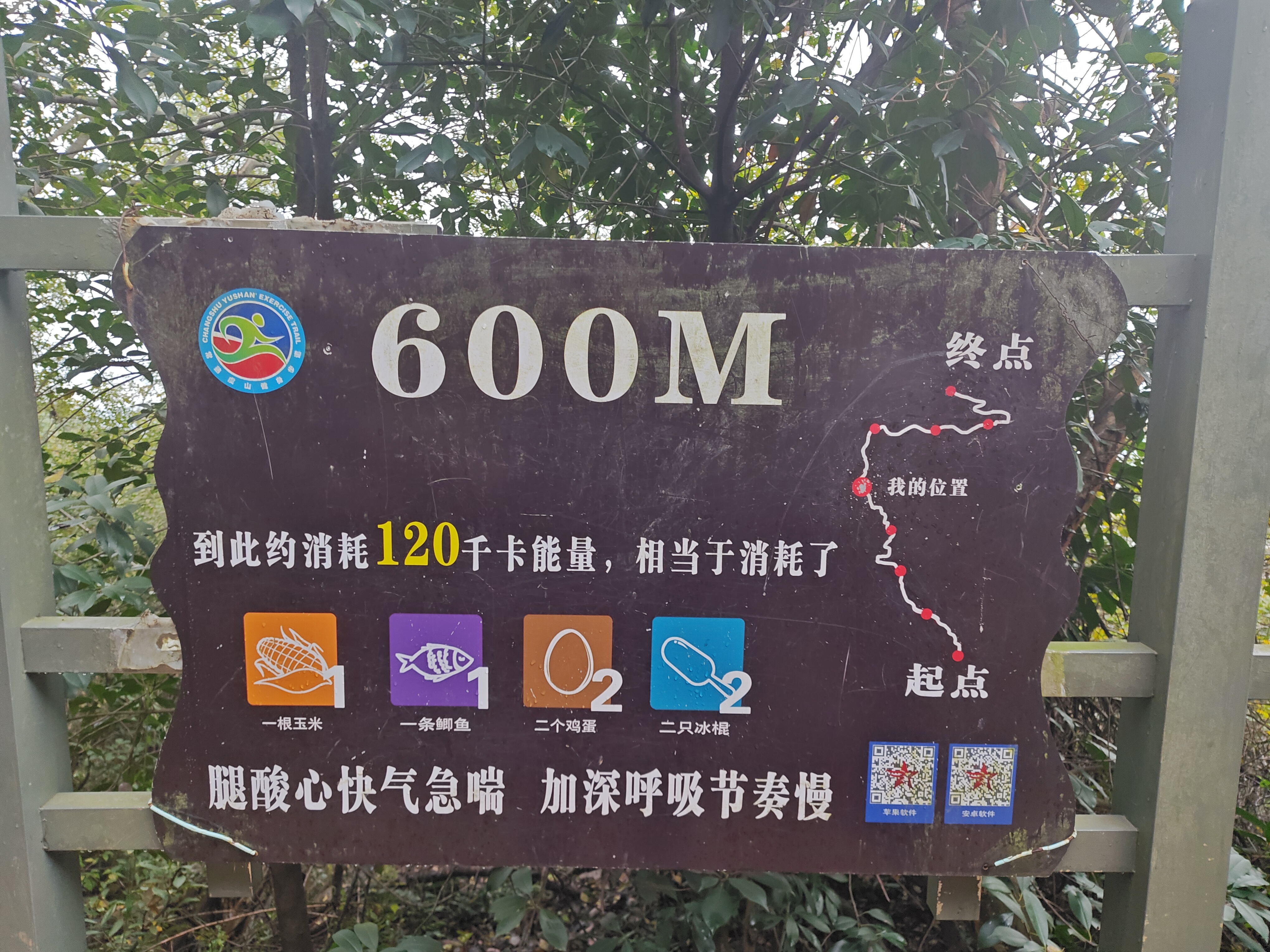 P20251108-151432 (1)