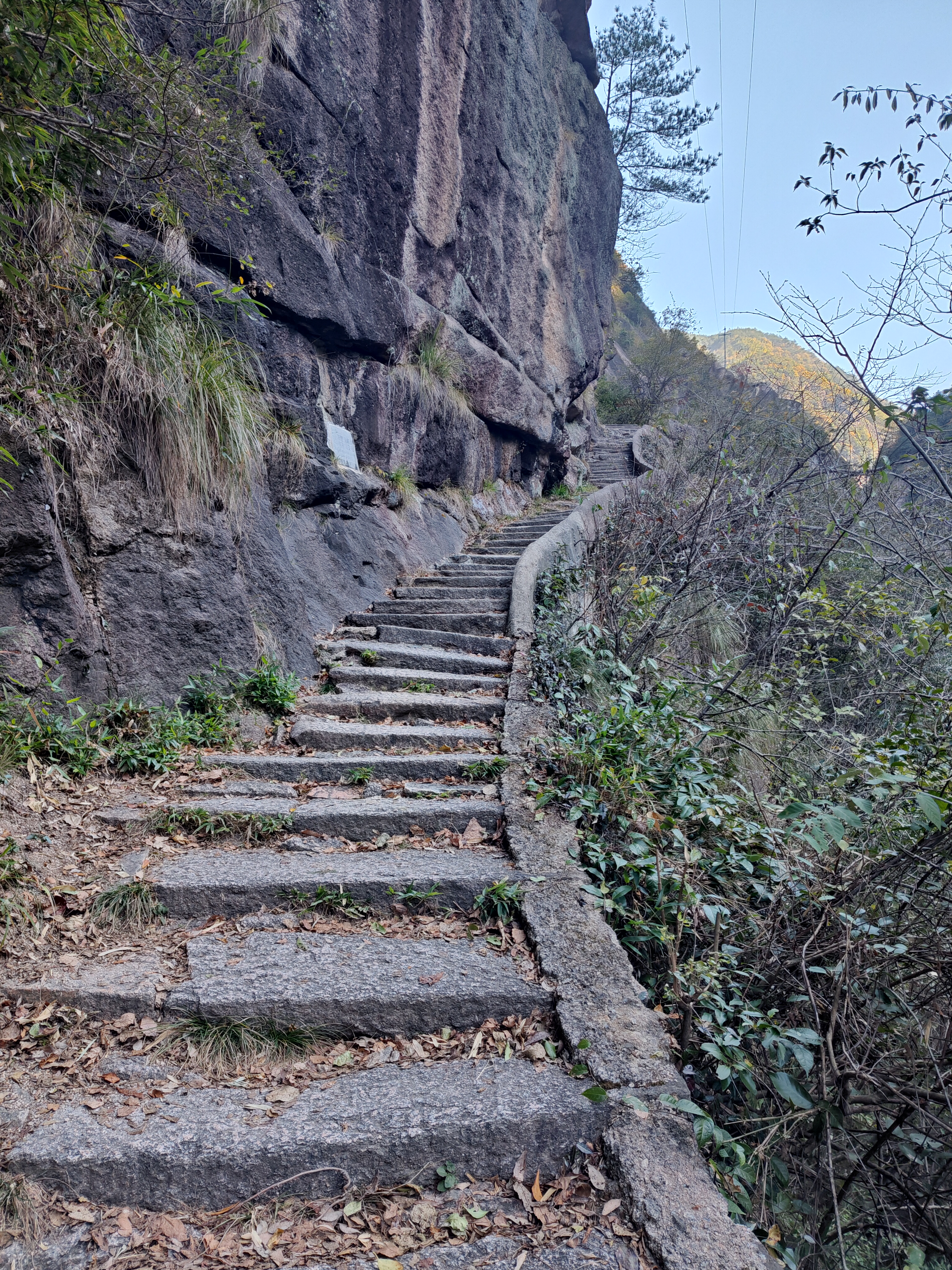 P20241130-110123
