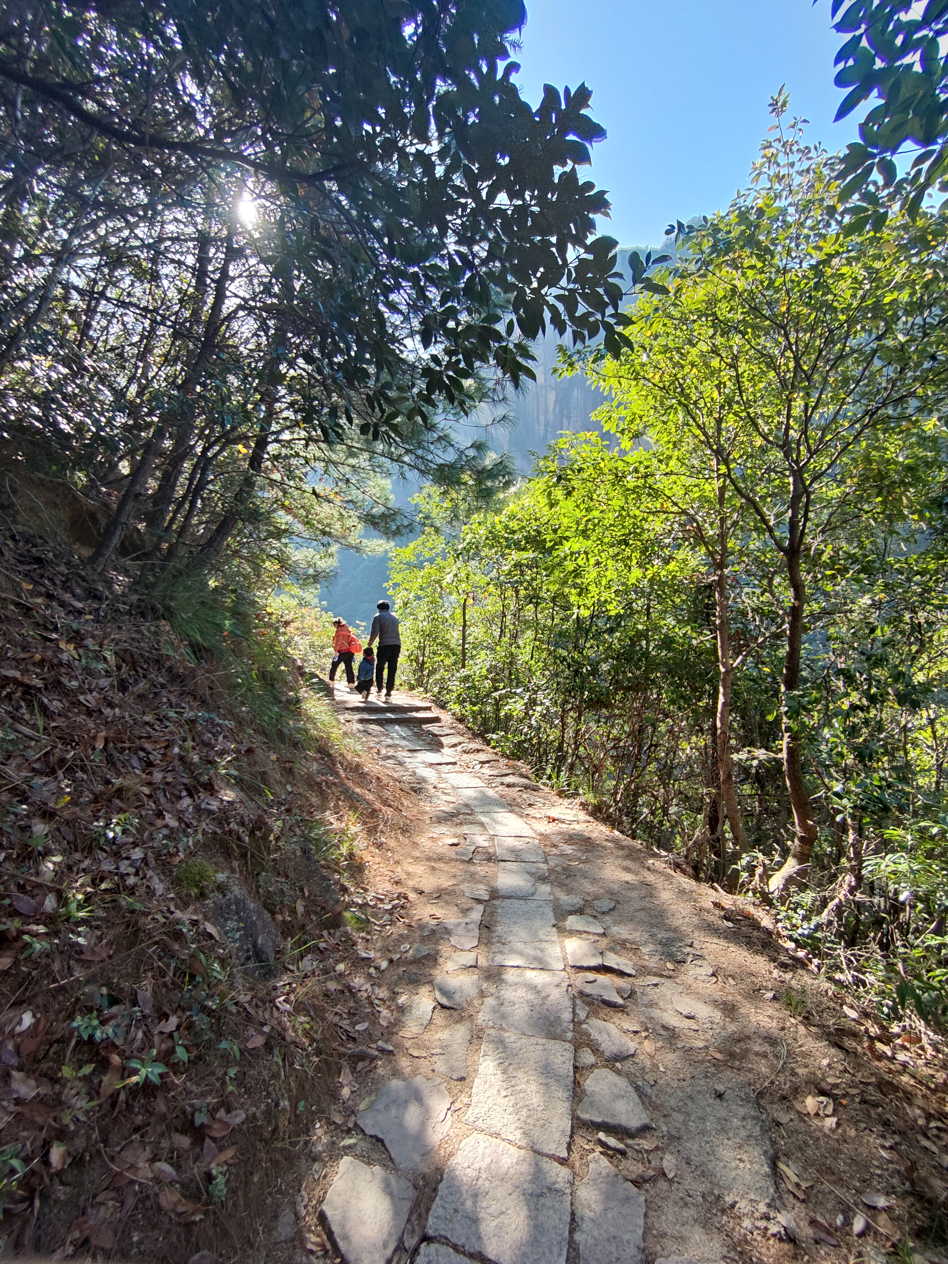 P20241130-113000