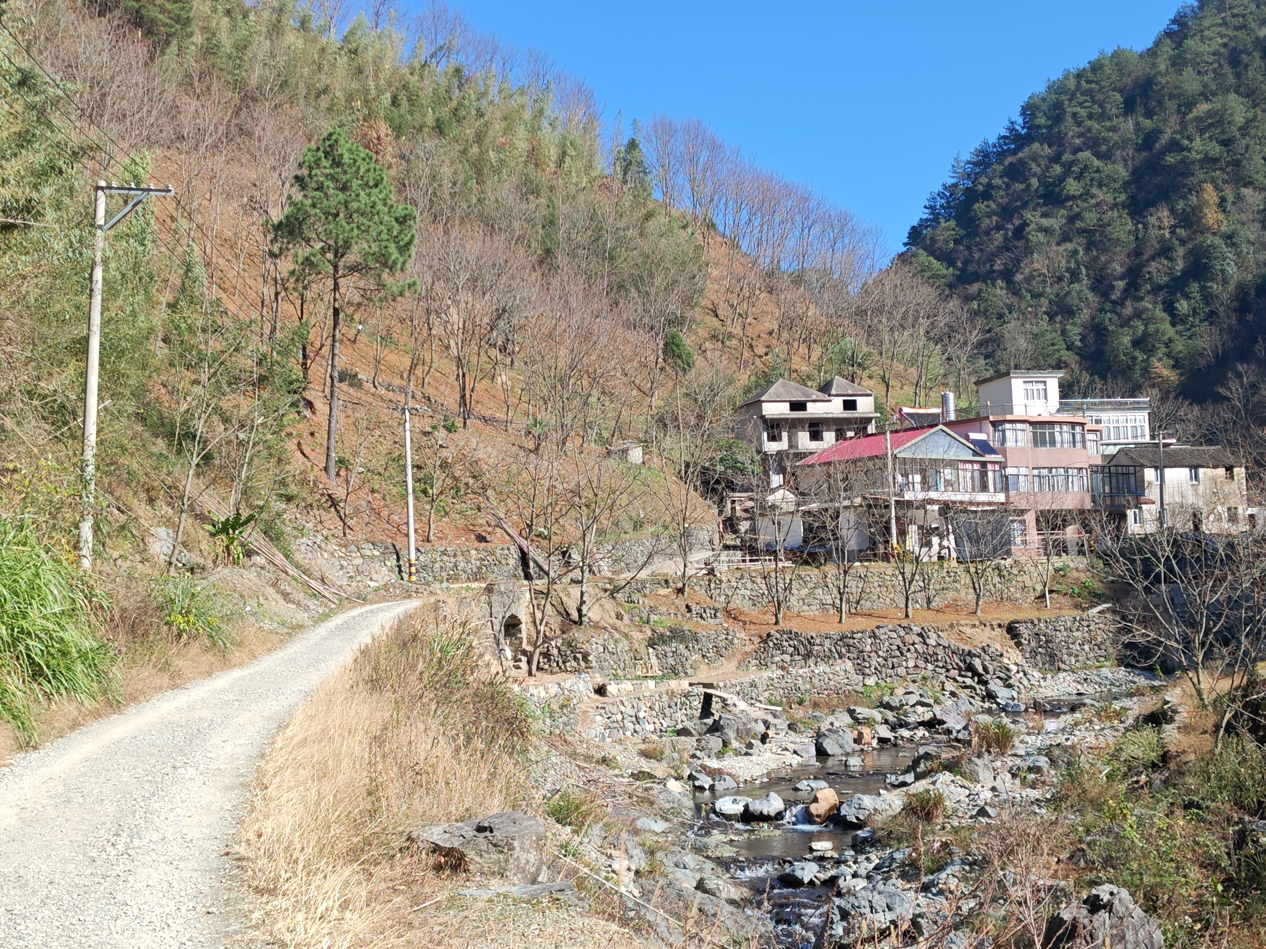 P20241130-120654