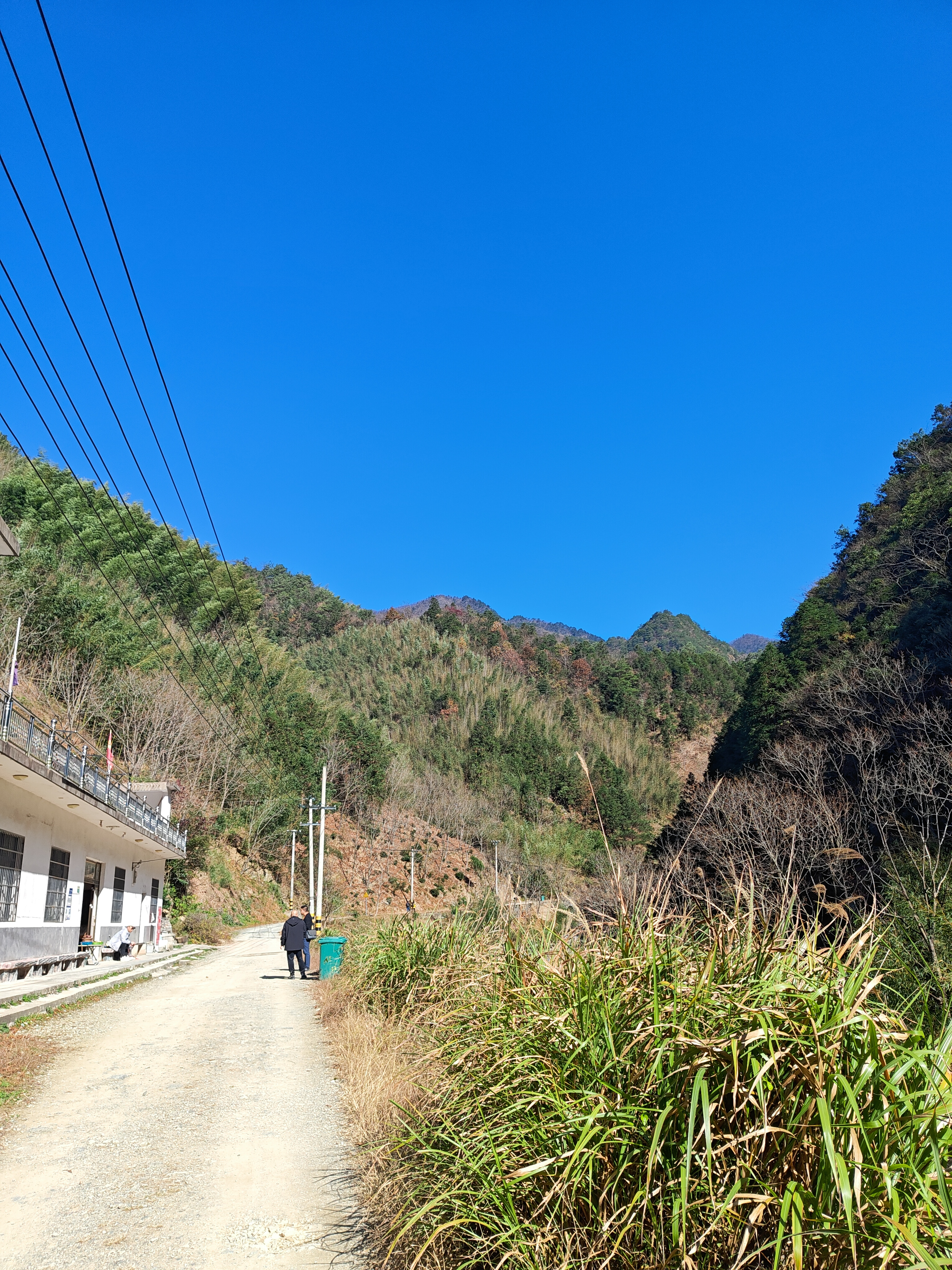 P20241130-121113