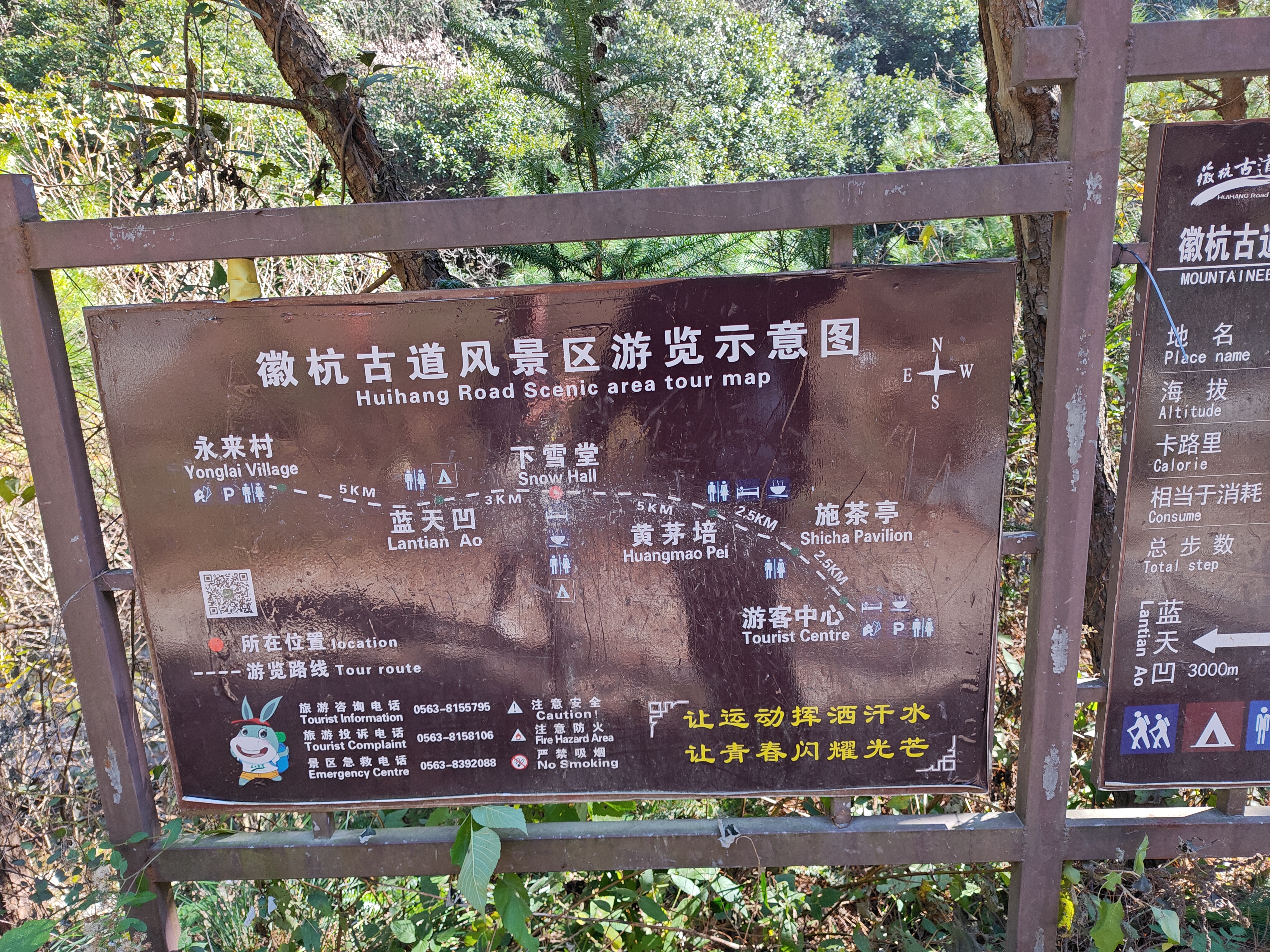 P20241130-123931