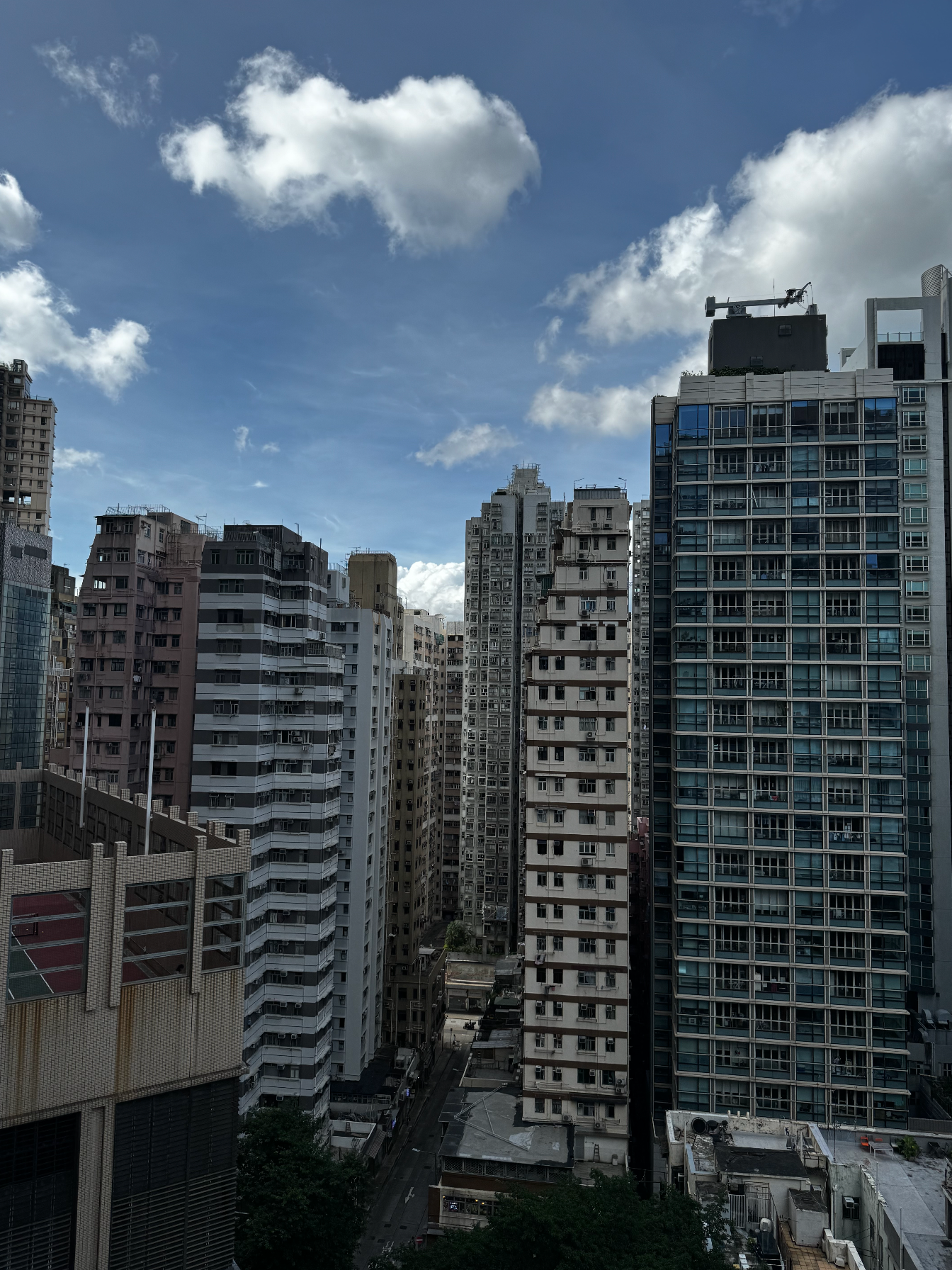 image-20240627230846123