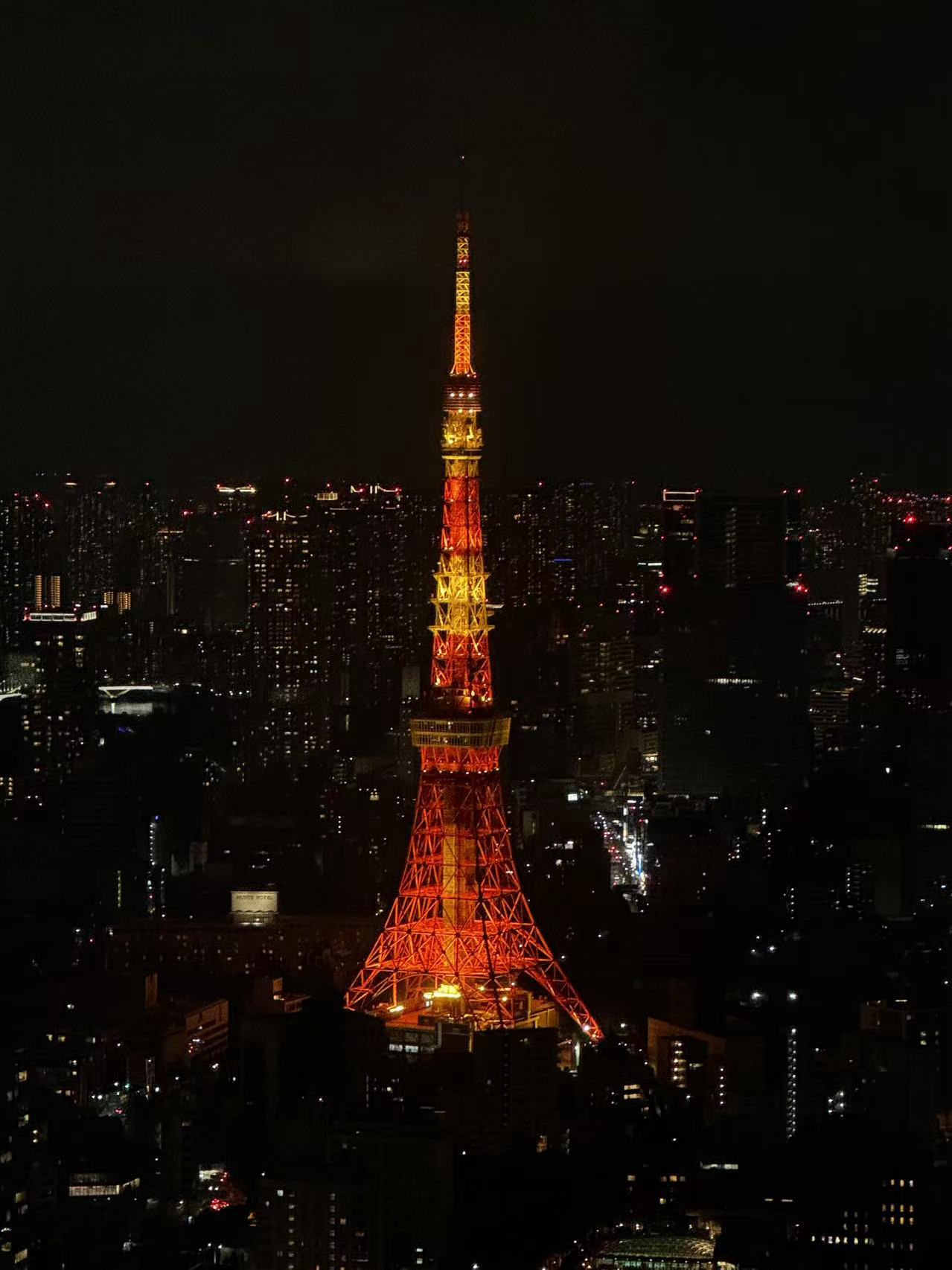 image-20250125164244651