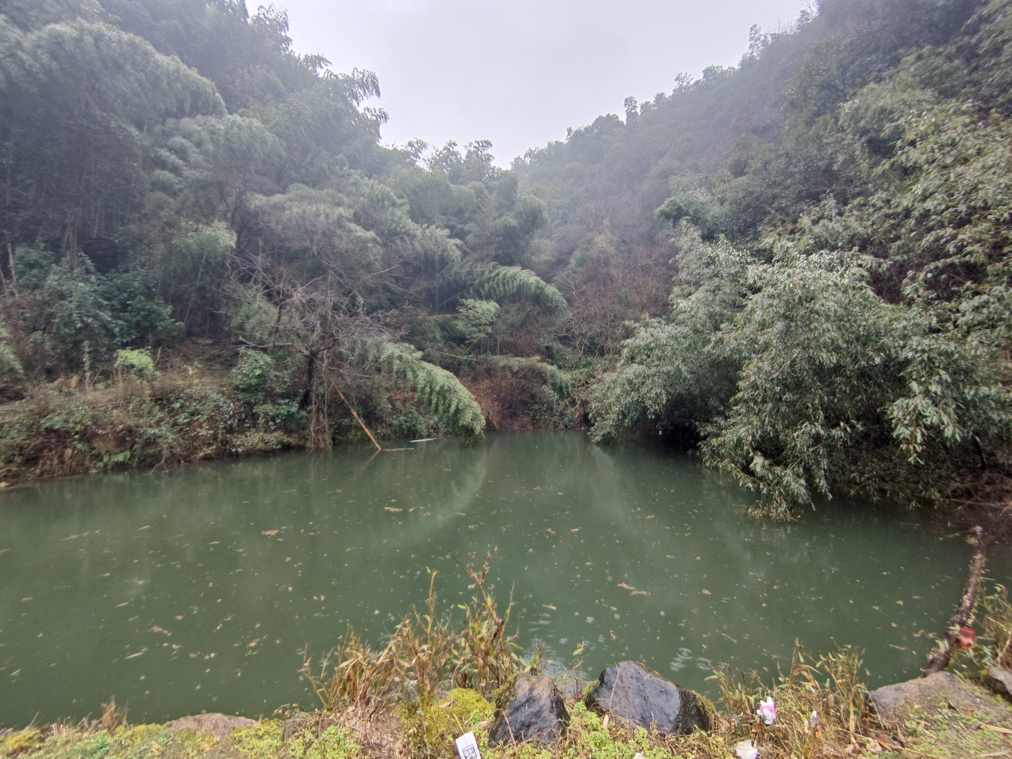 P20250222-110956