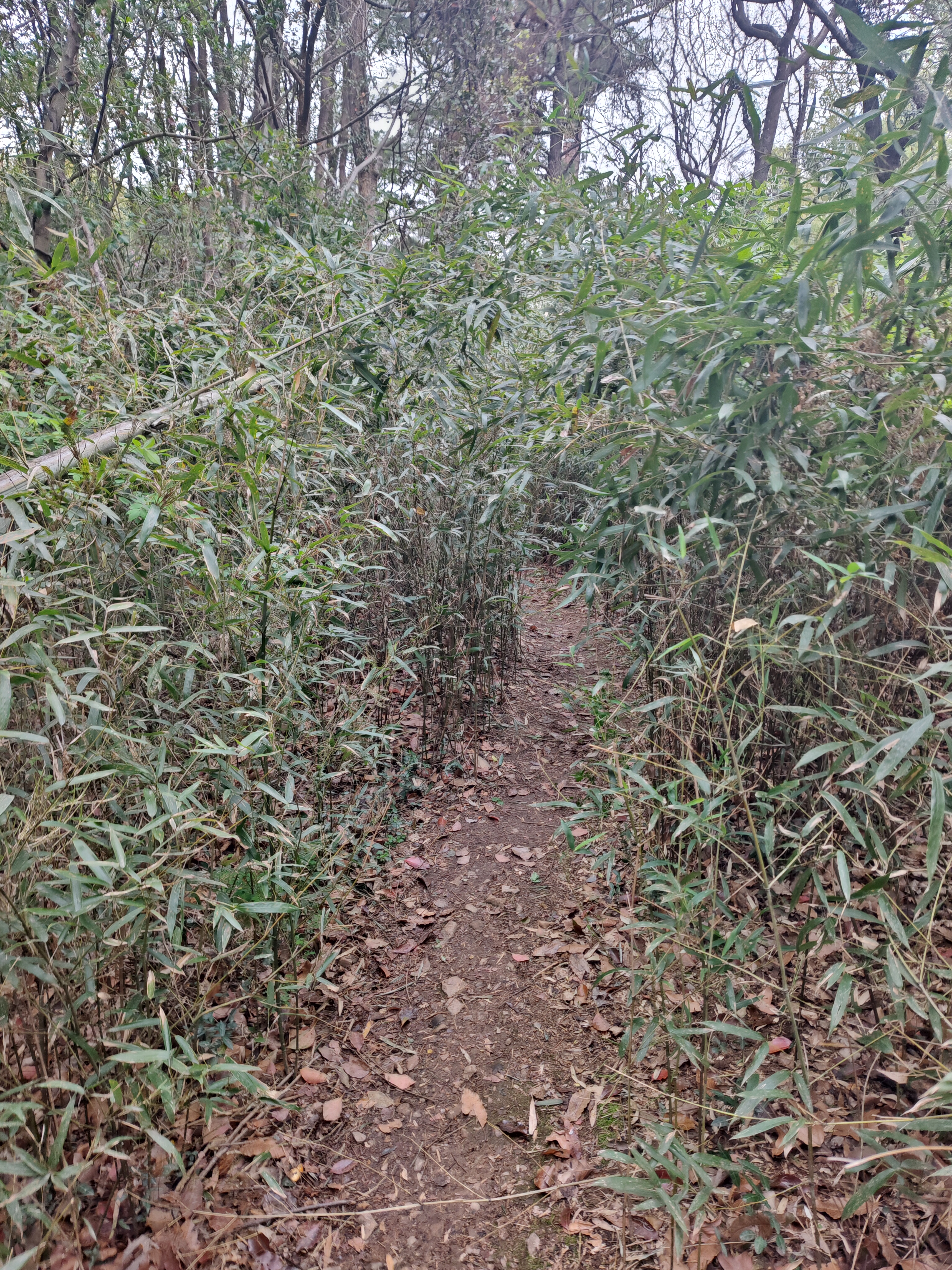 P20250329-133424