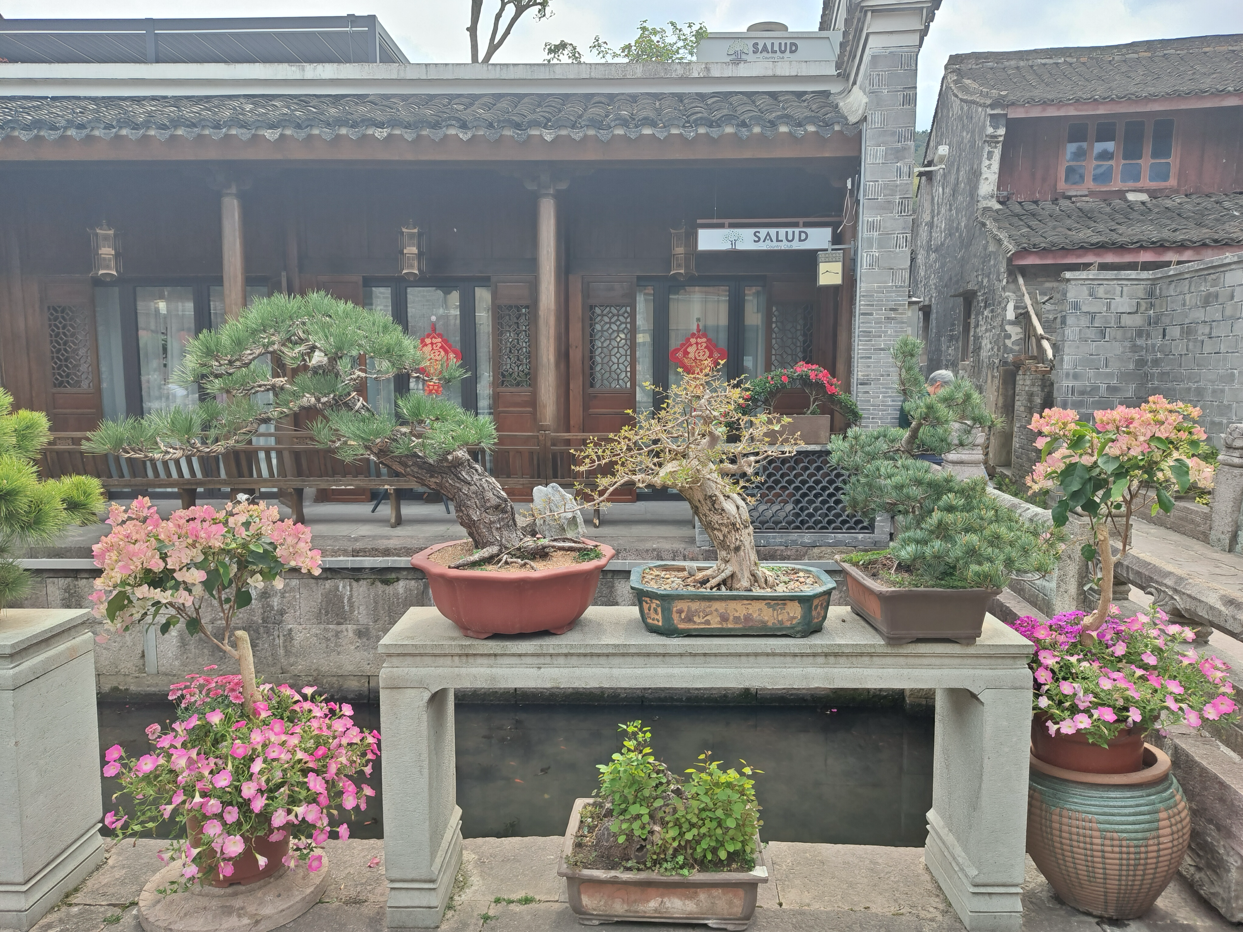 image-20250406195616767