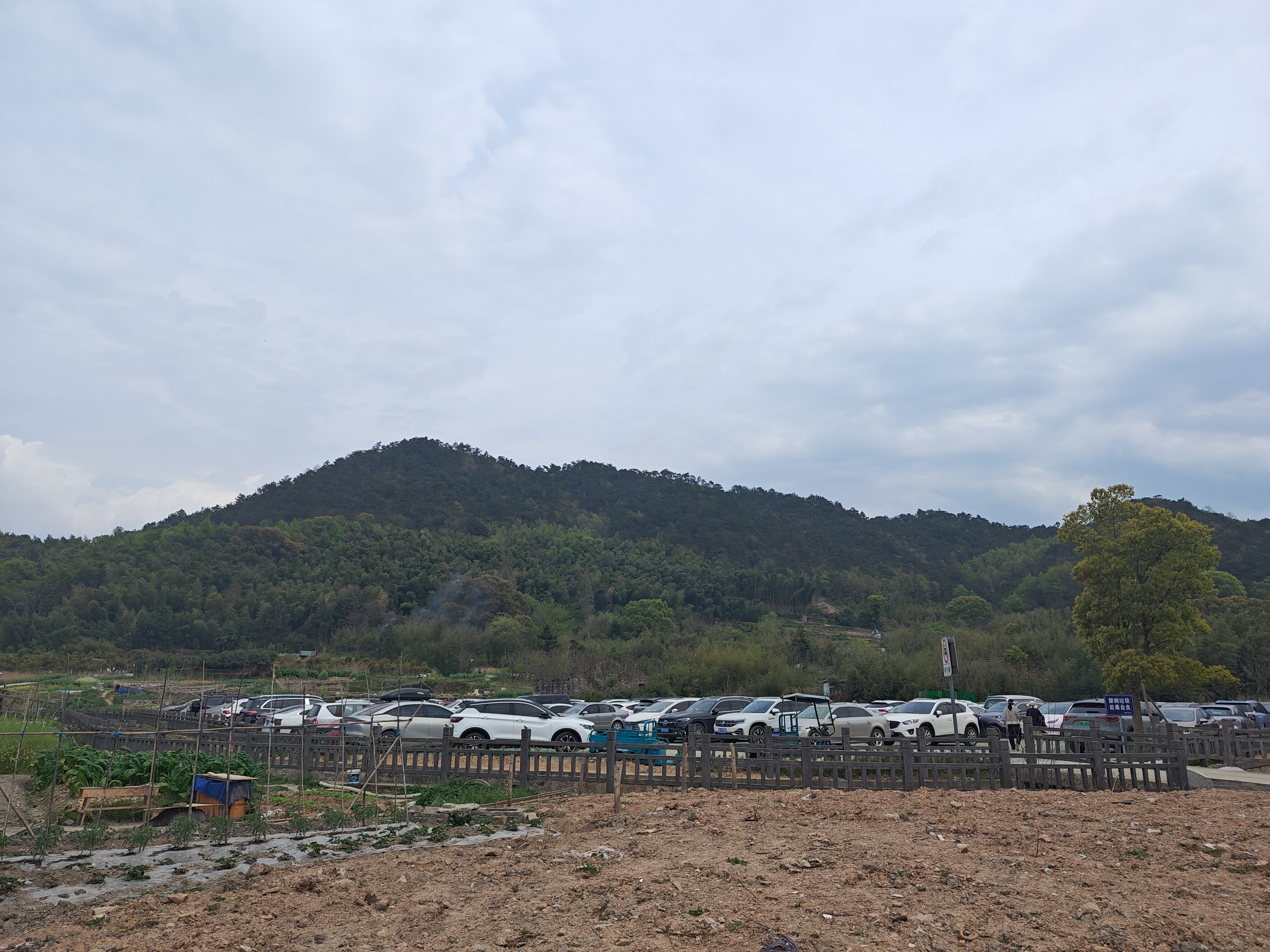 P20250405-133230