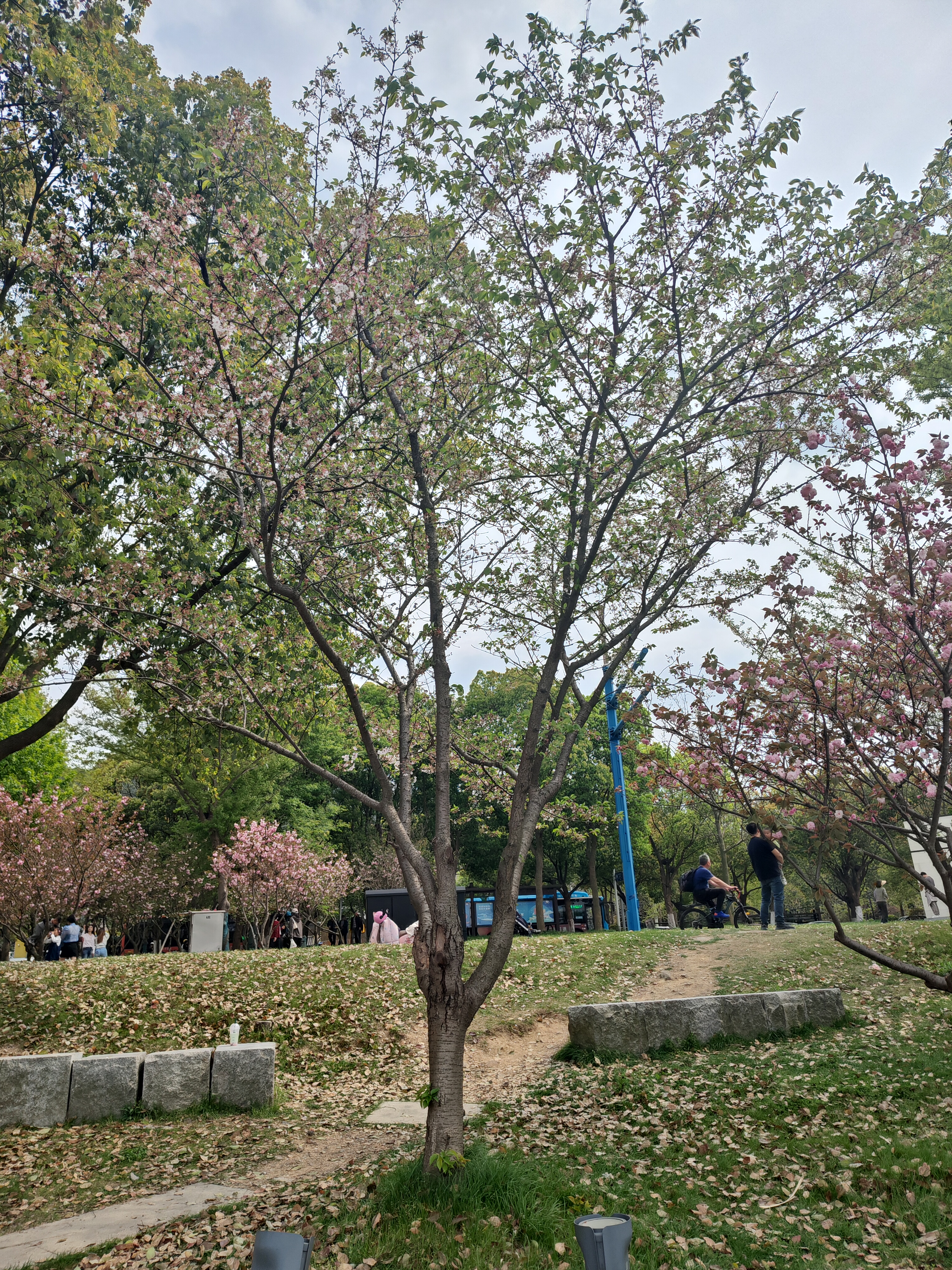 P20250405-140052