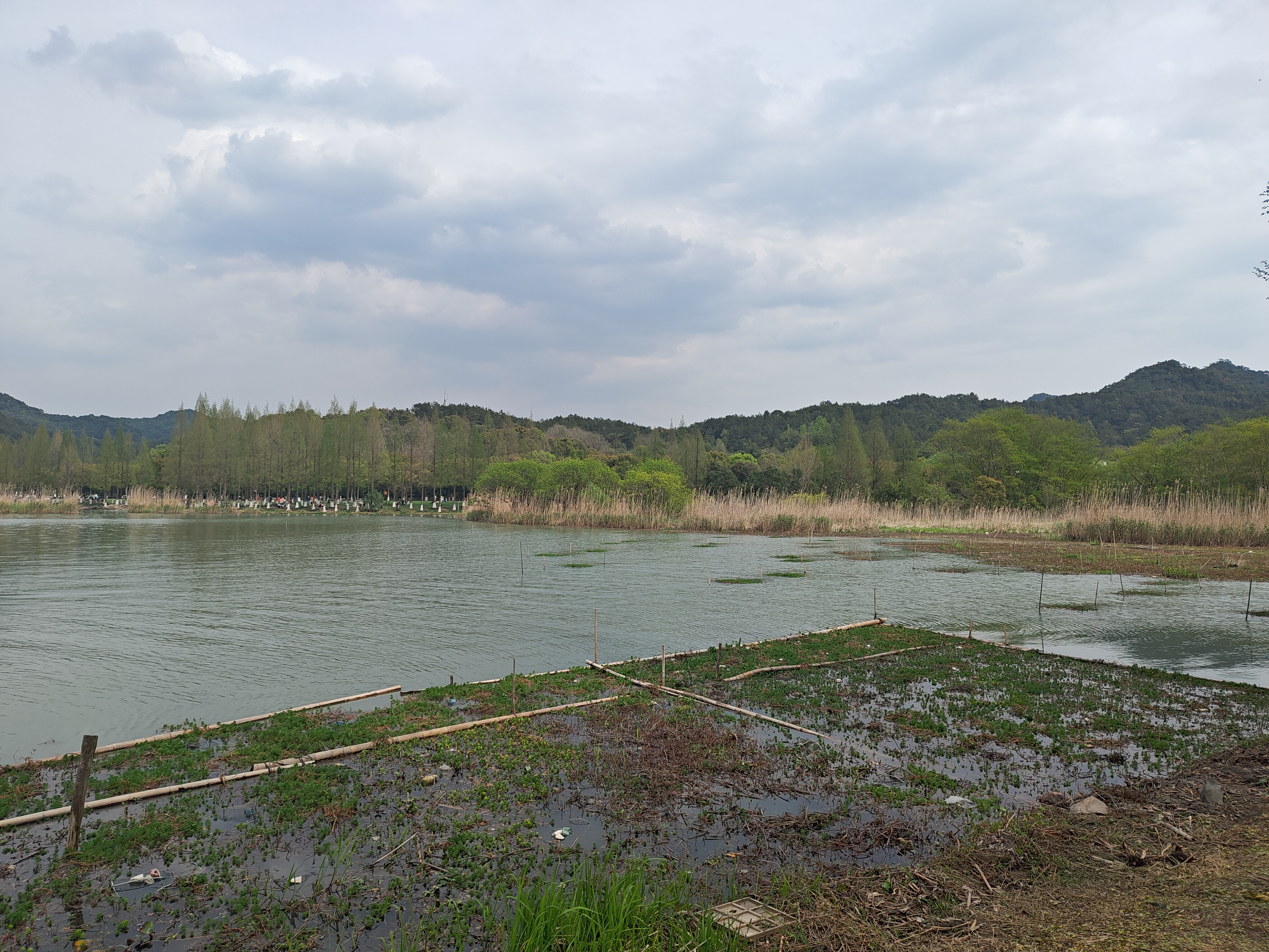 P20250405-142846