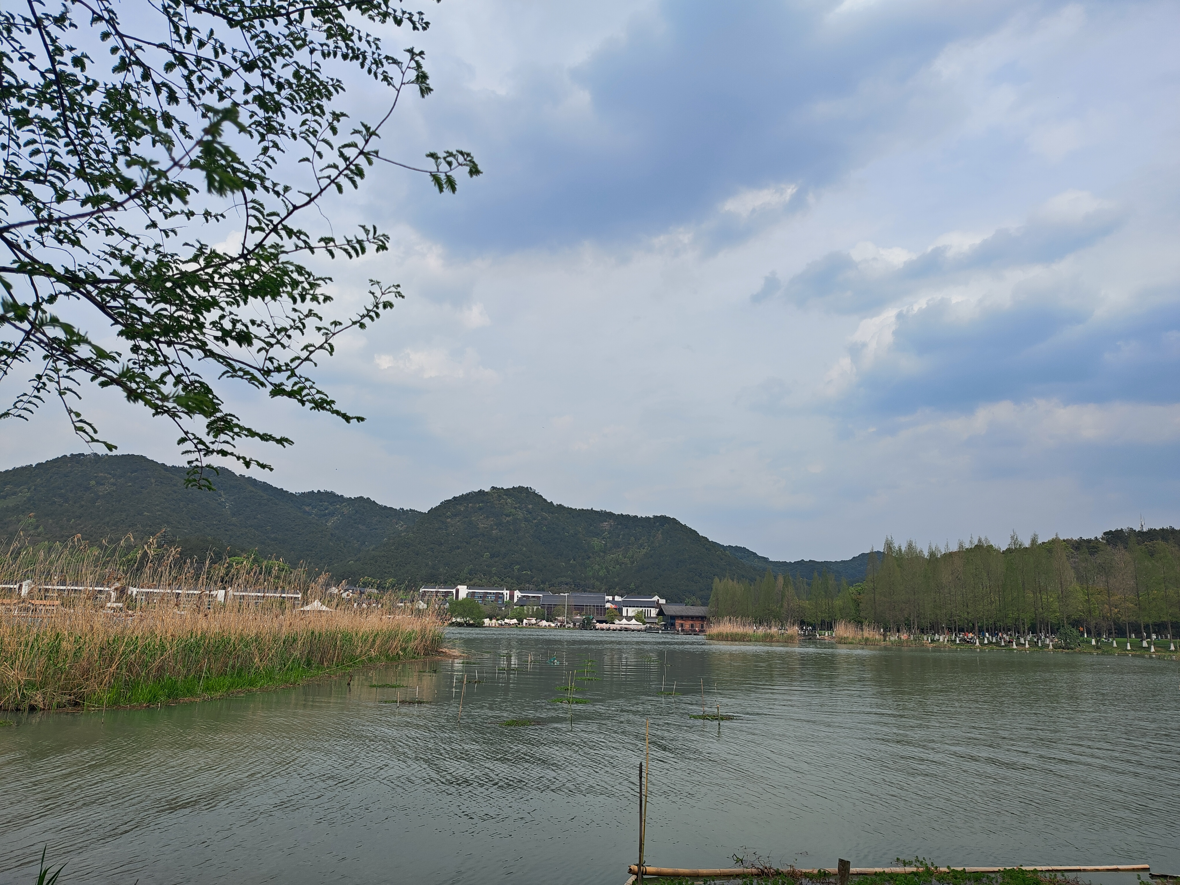 P20250405-142852