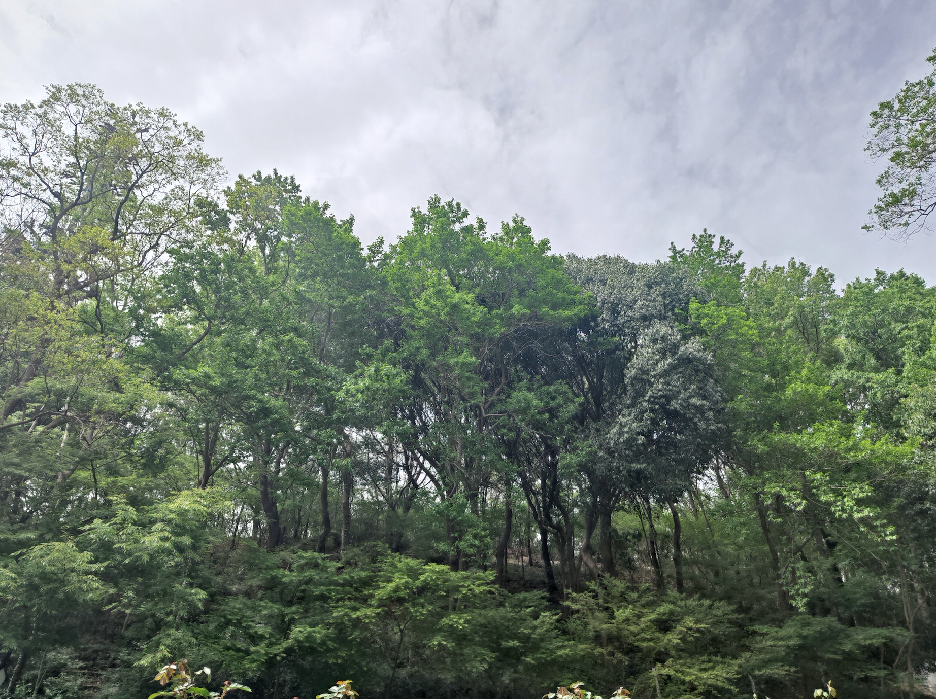 image-20250414215703651