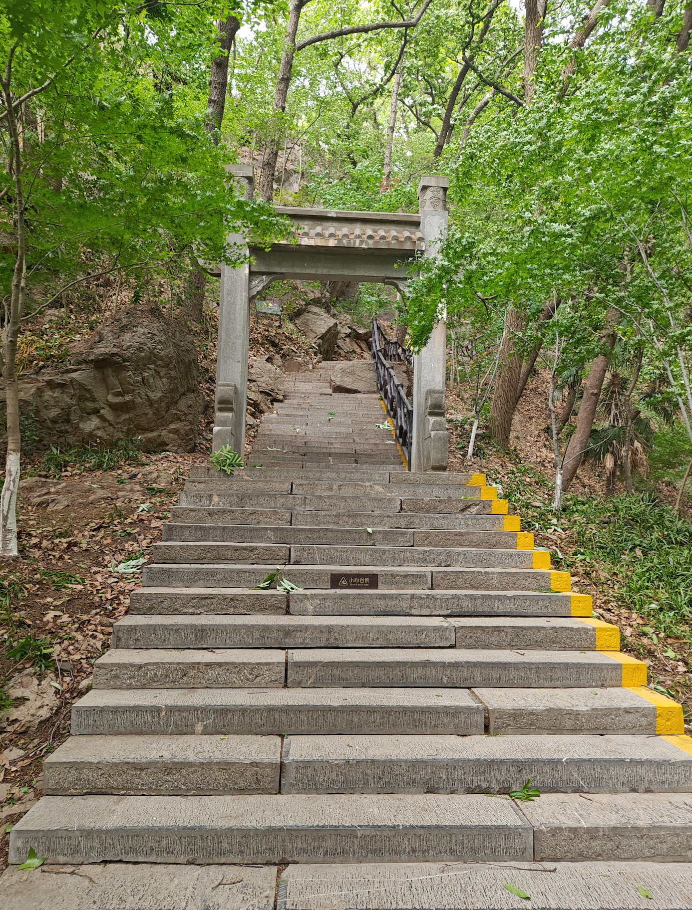 image-20250414220156214