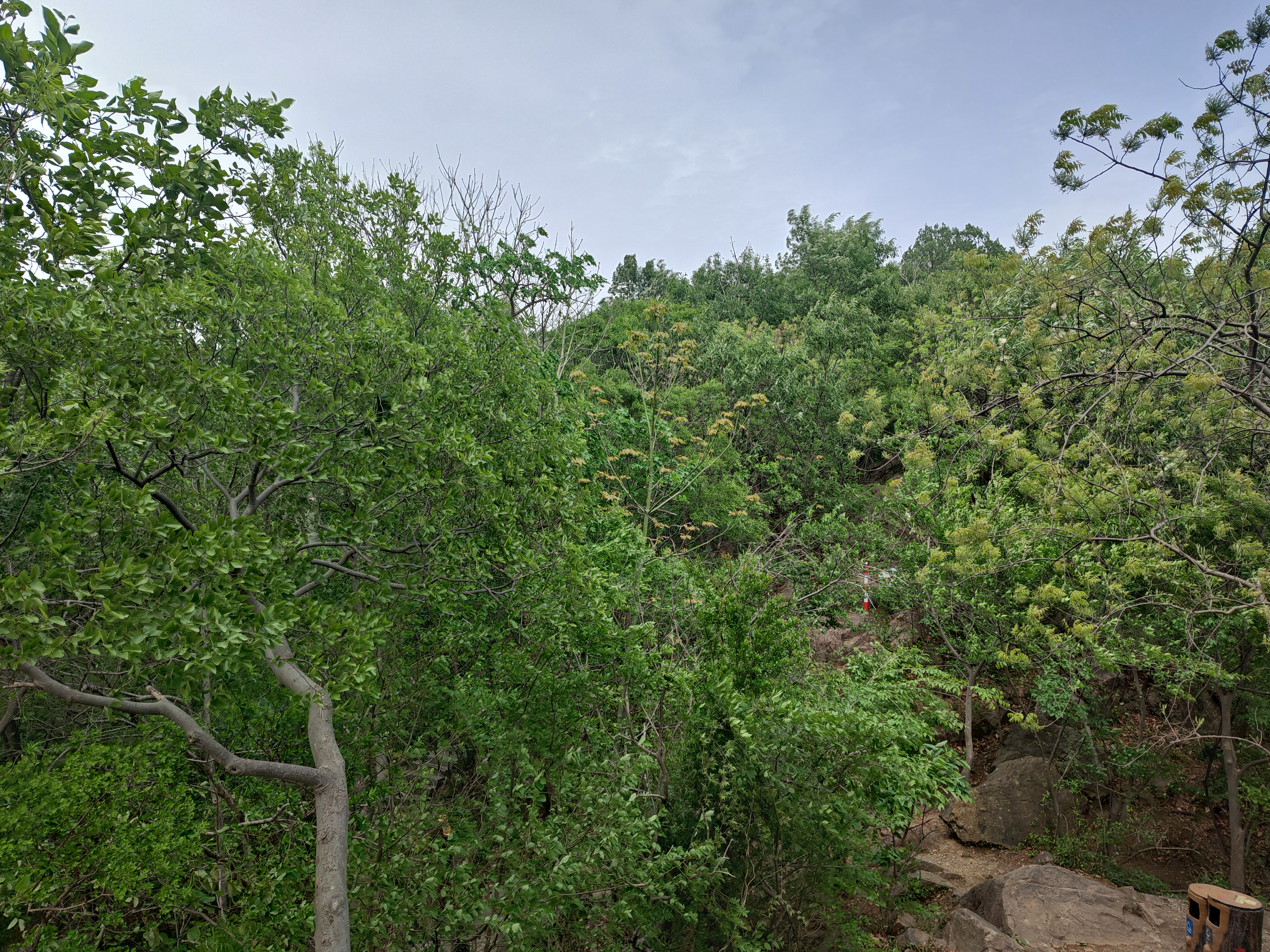 P20250412-140743