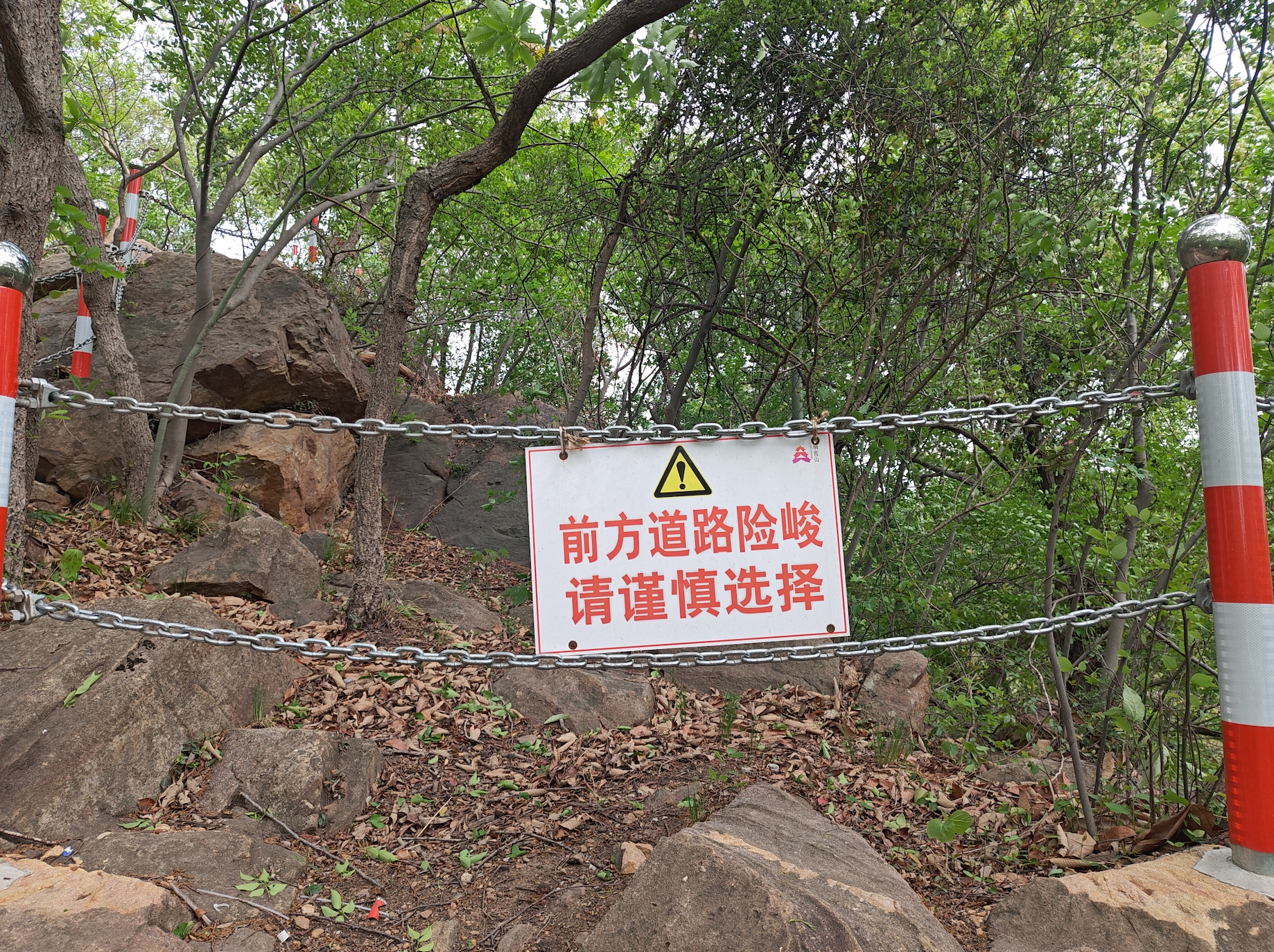 image-20250414220639273