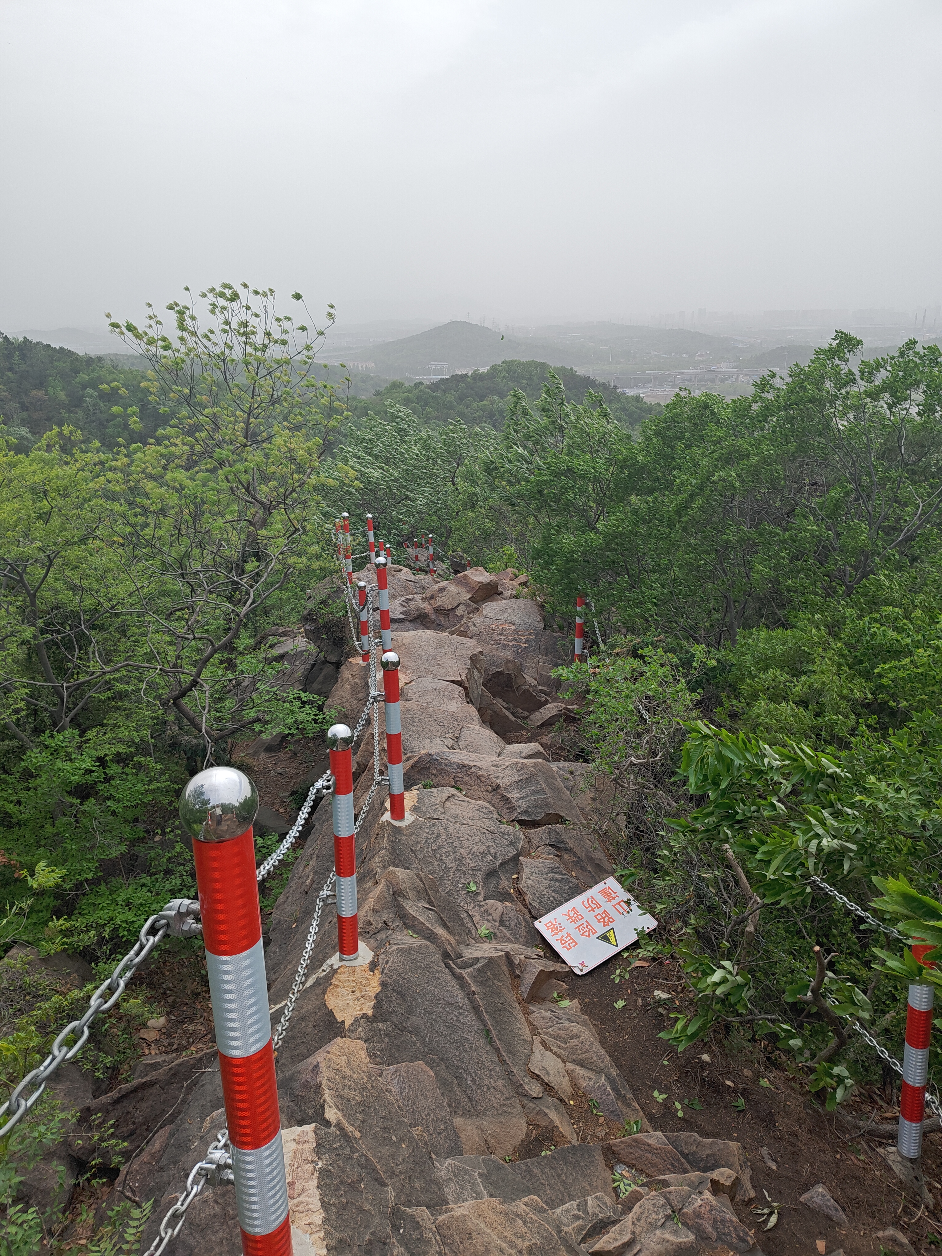 P20250412-141208