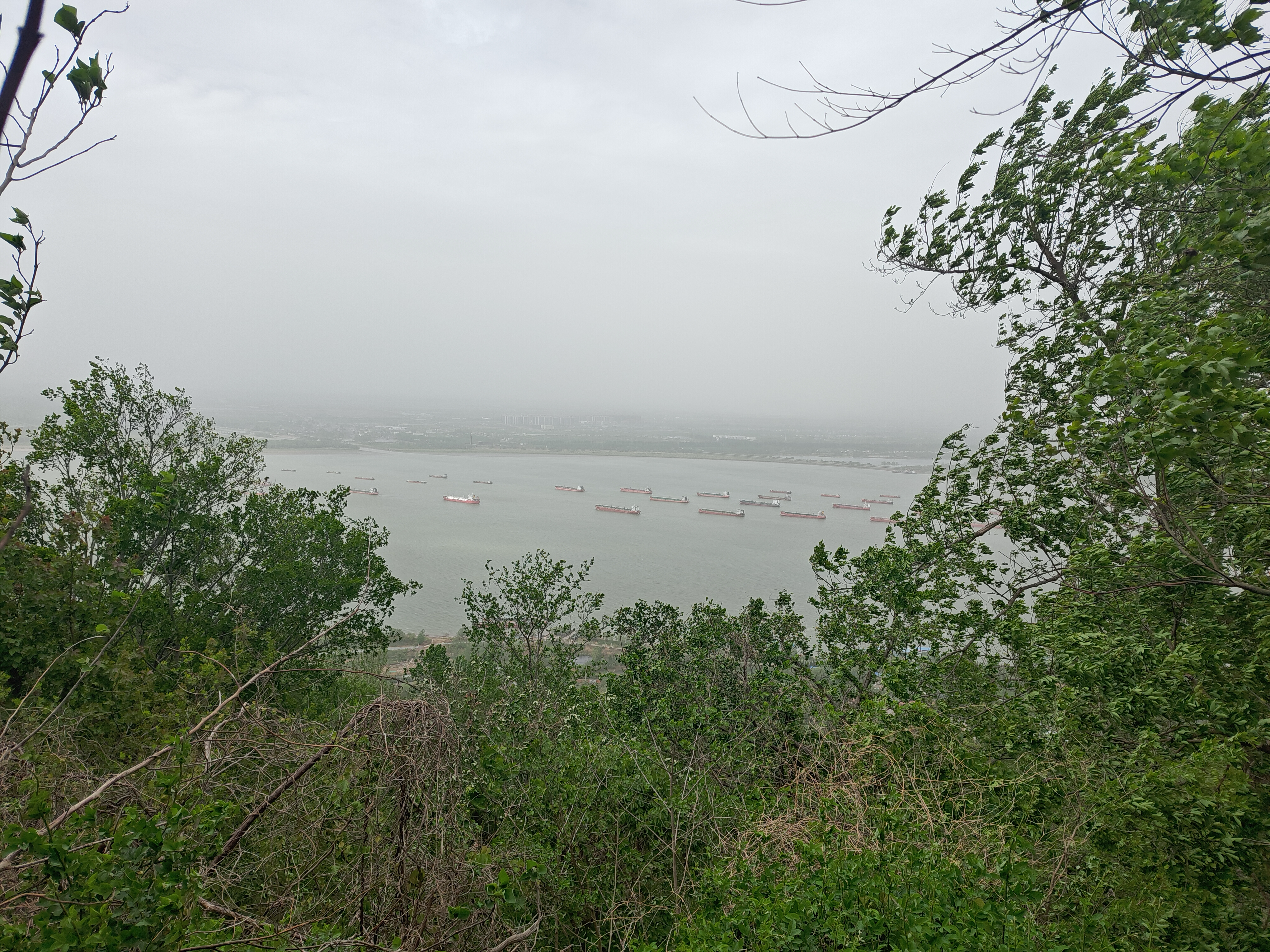 image-20250414221342592