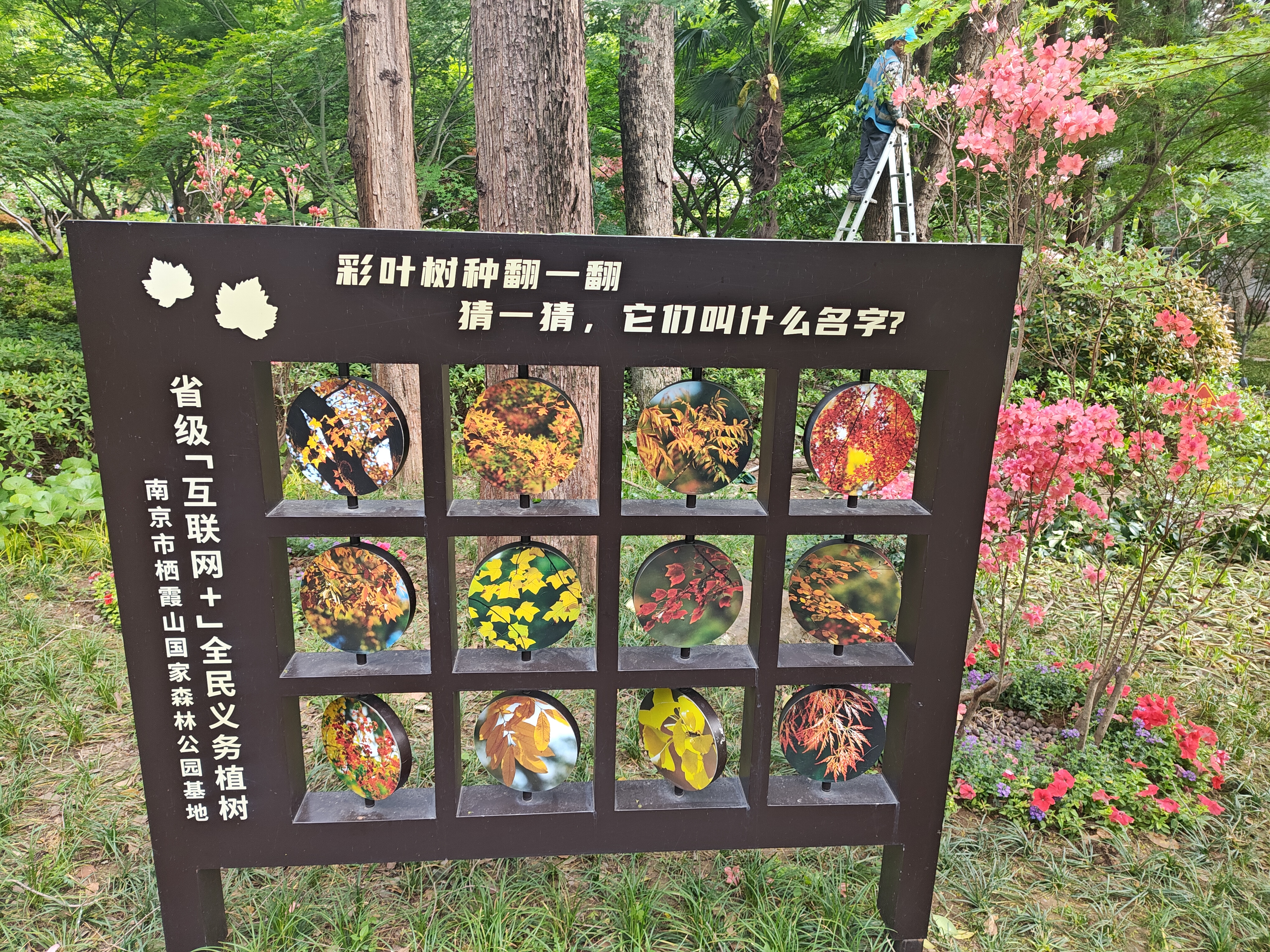P20250412-151402