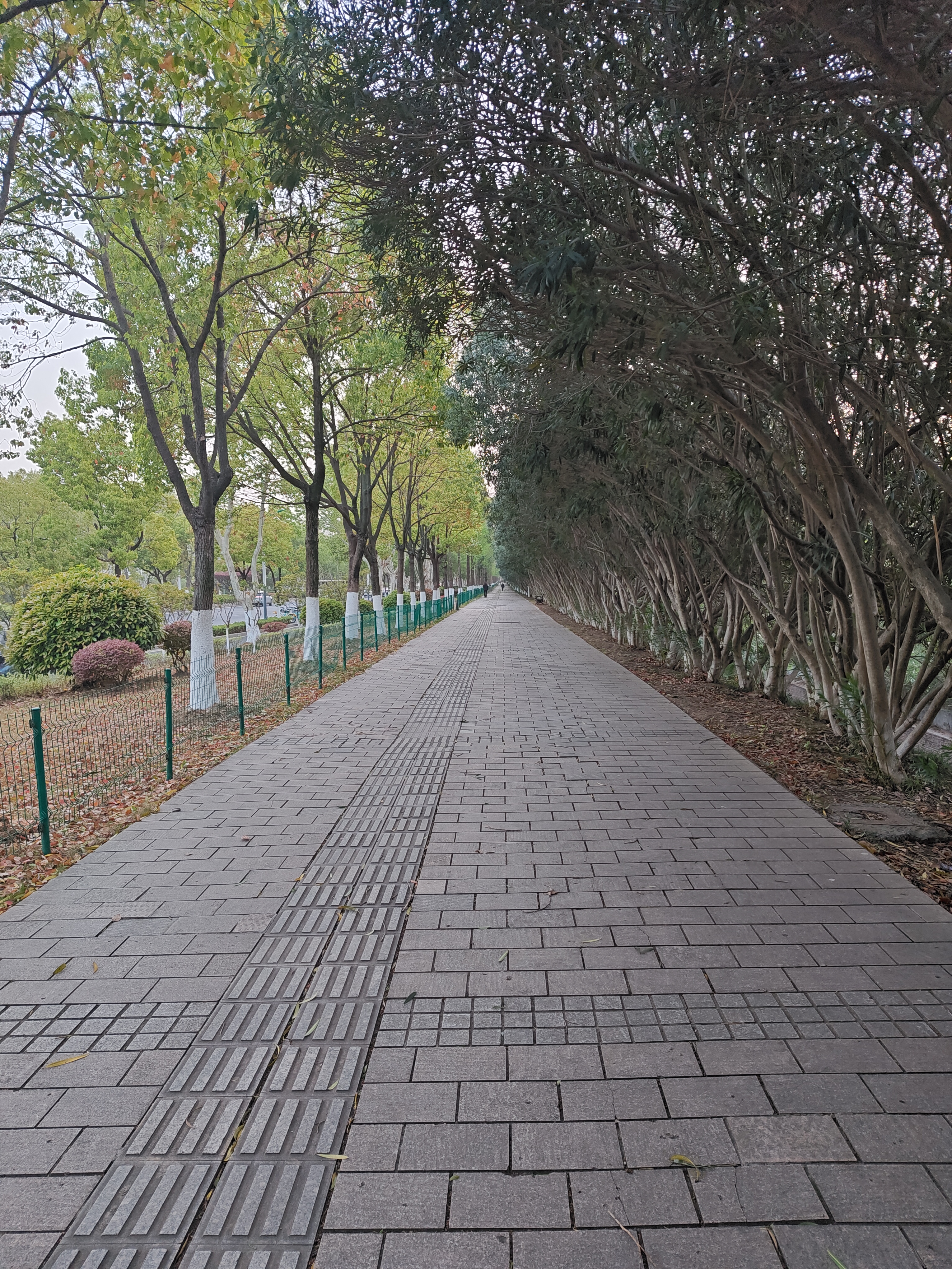 P20250412-180409