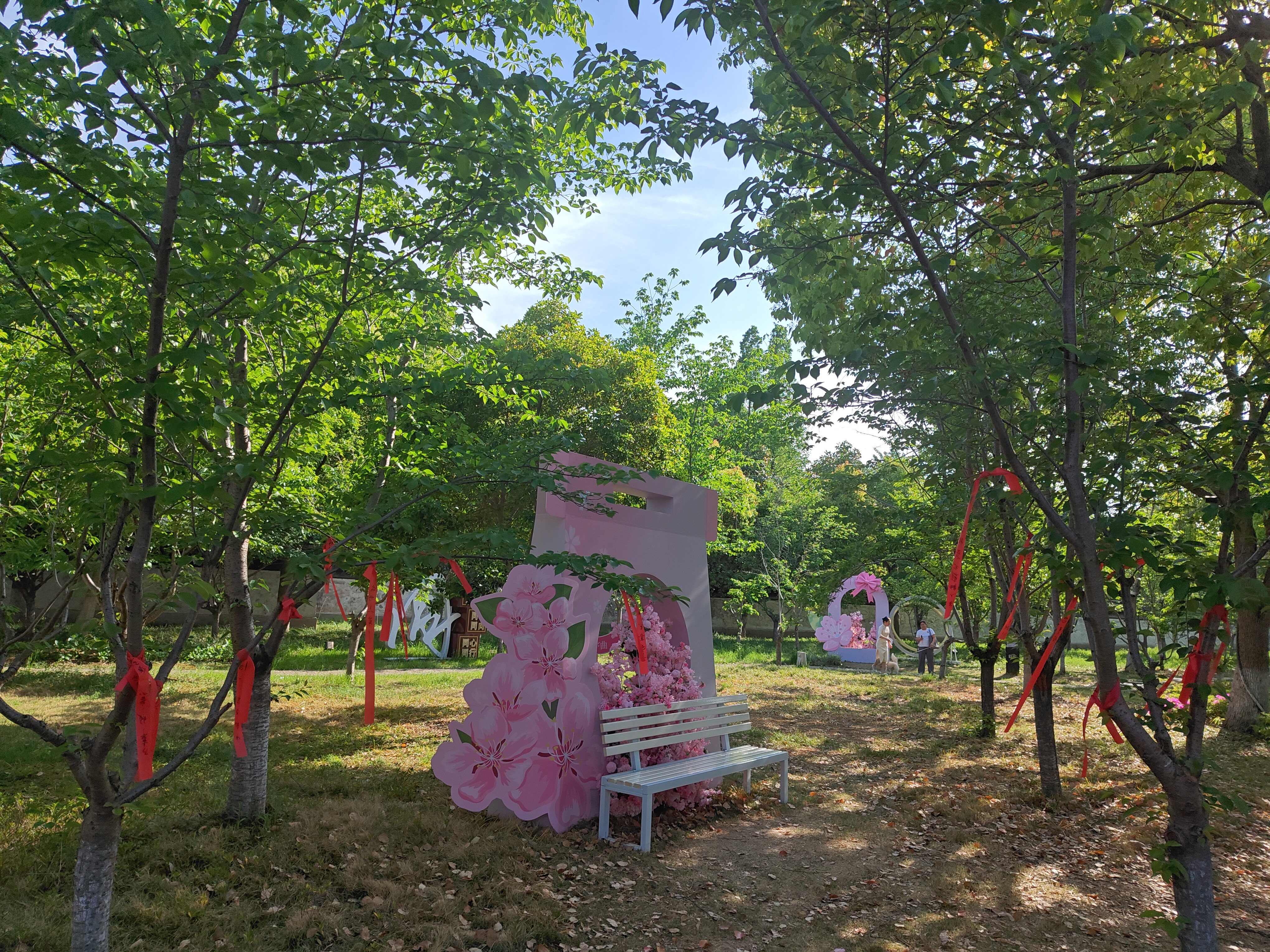 P20250420-160149