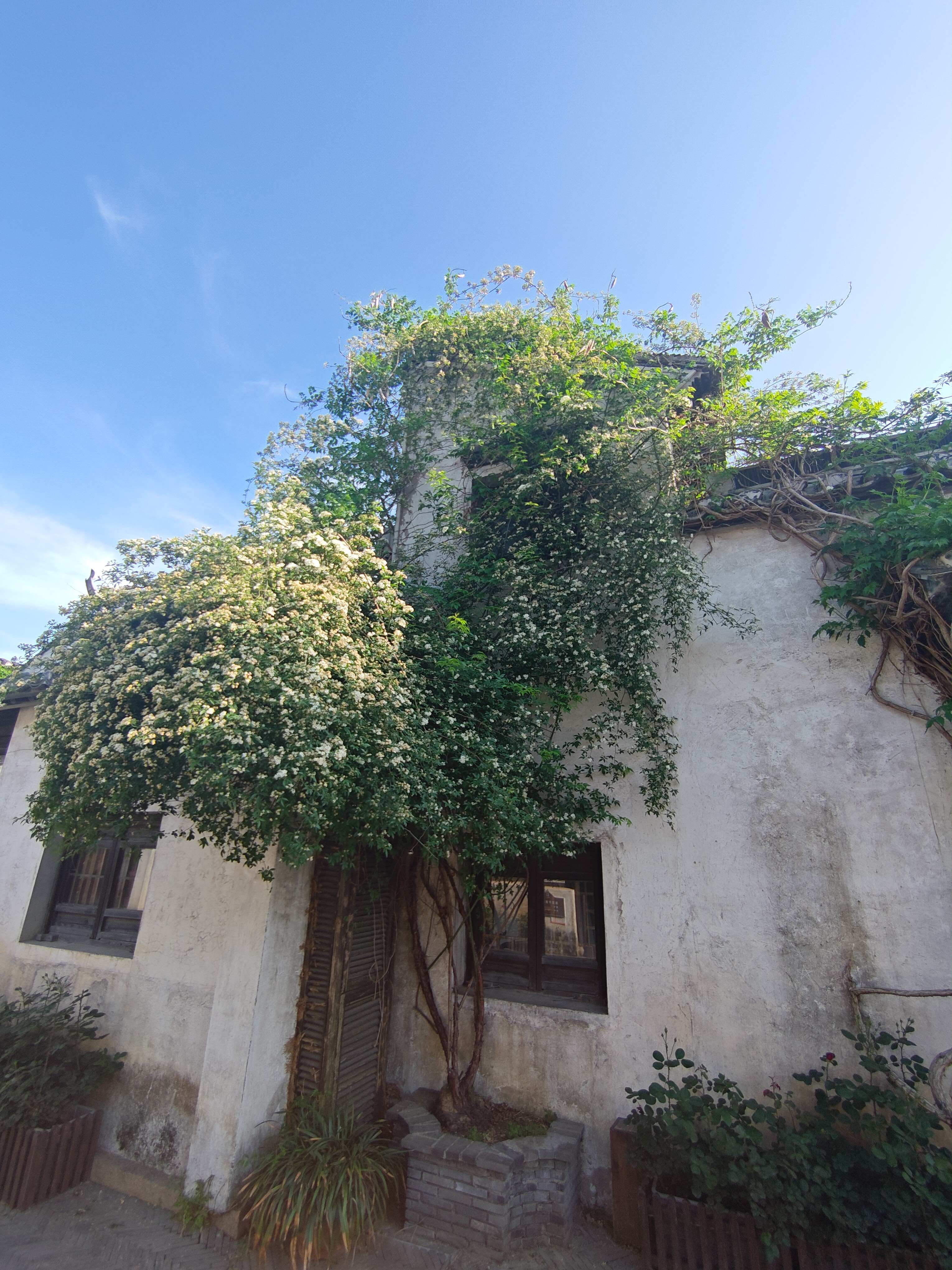 P20250420-161039