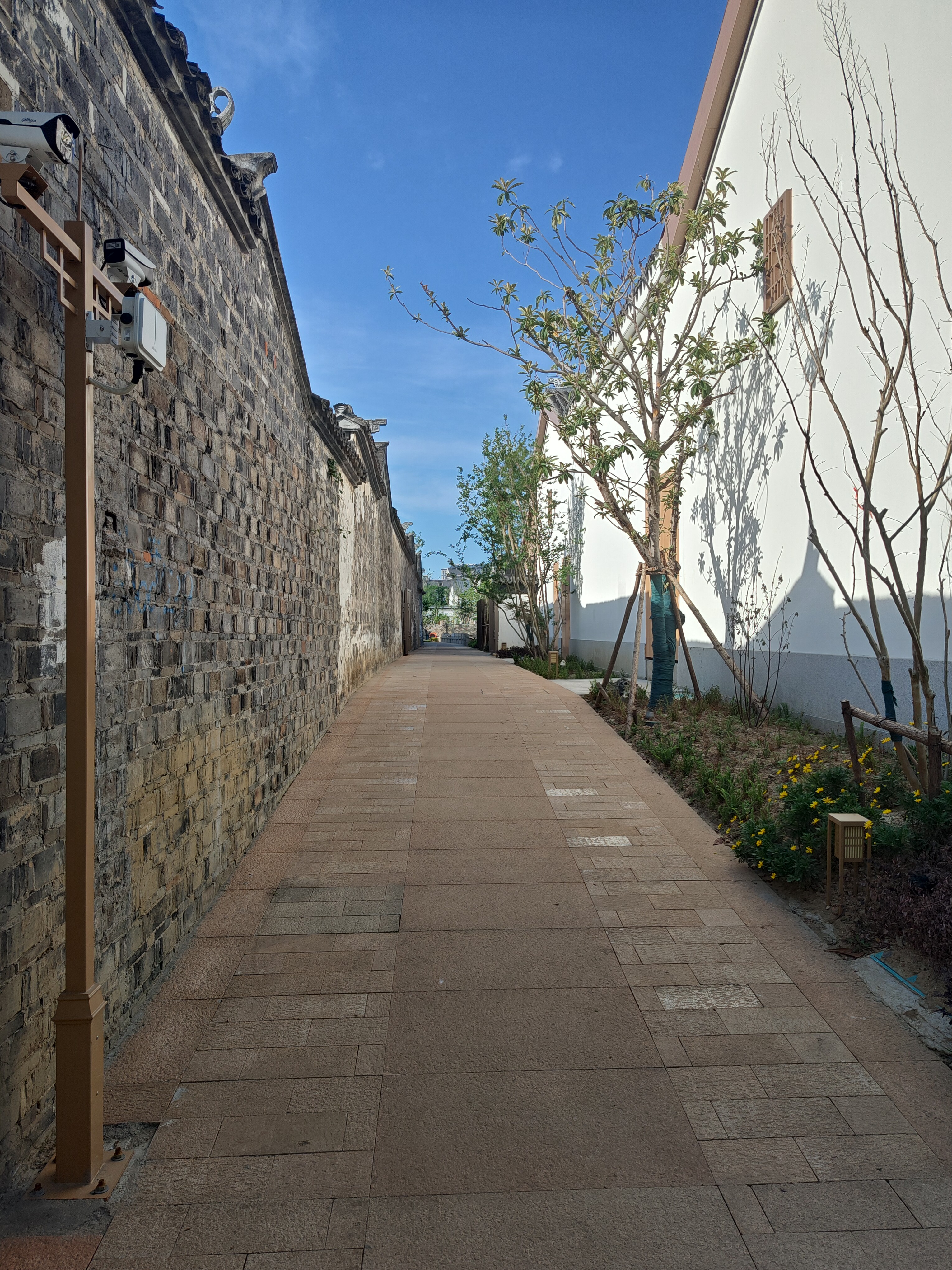 P20250420-162111