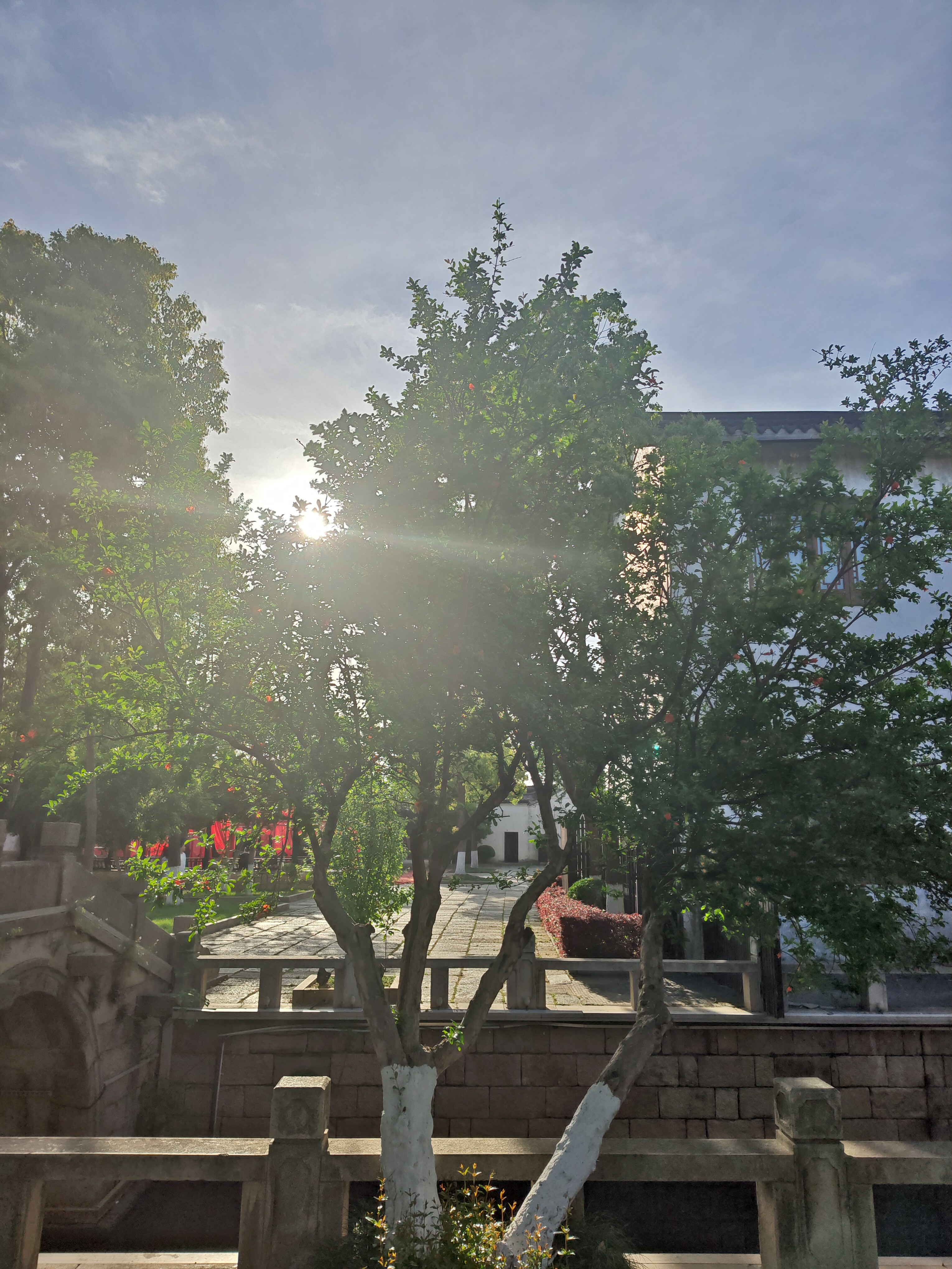 P20250420-165054