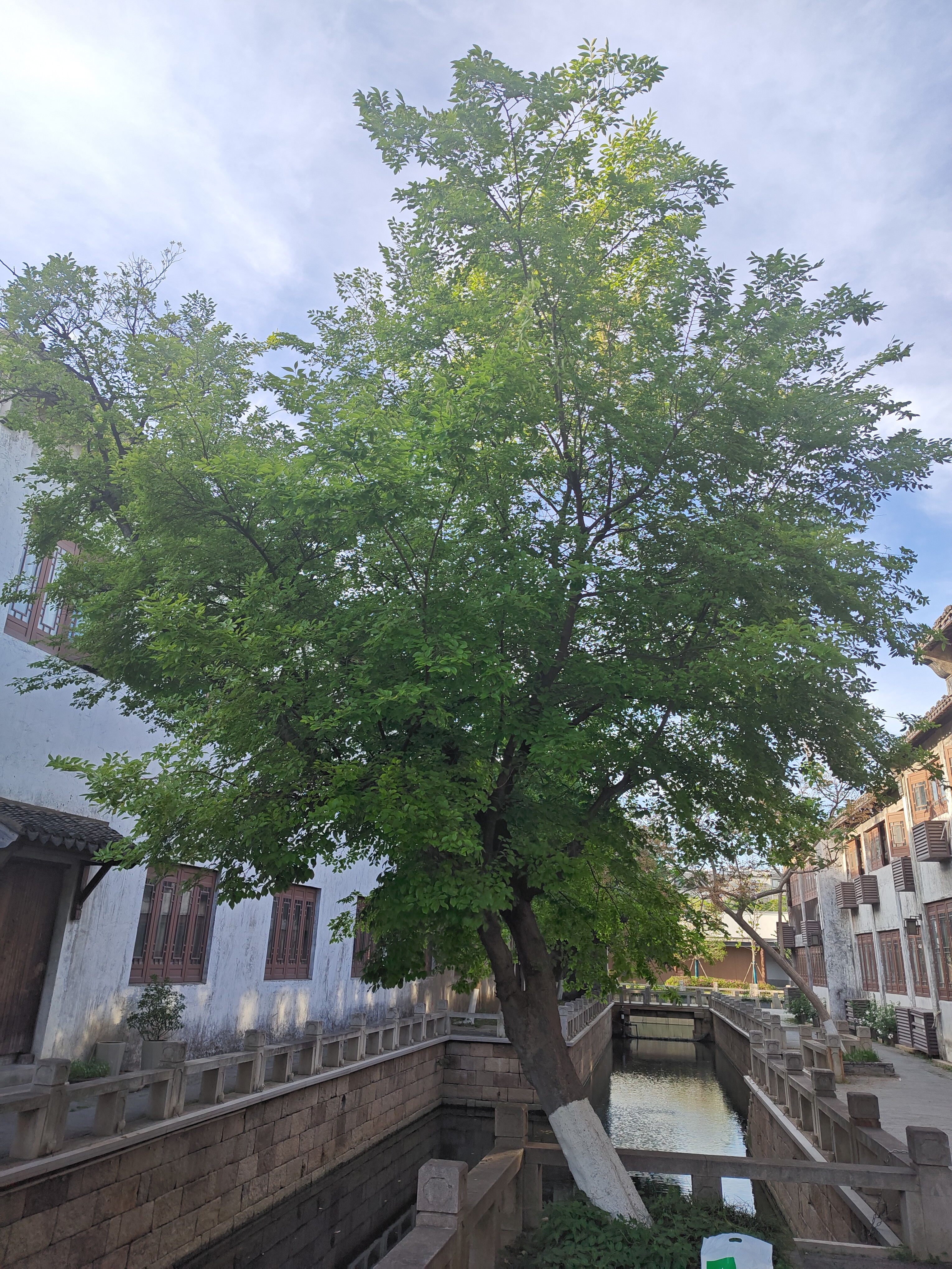 P20250420-165031